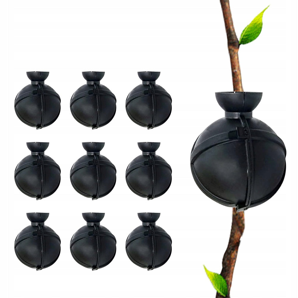 10 CM BALLS FOR ROOTING SEEDLINGS REPRODUCTION X10 Brand no brand