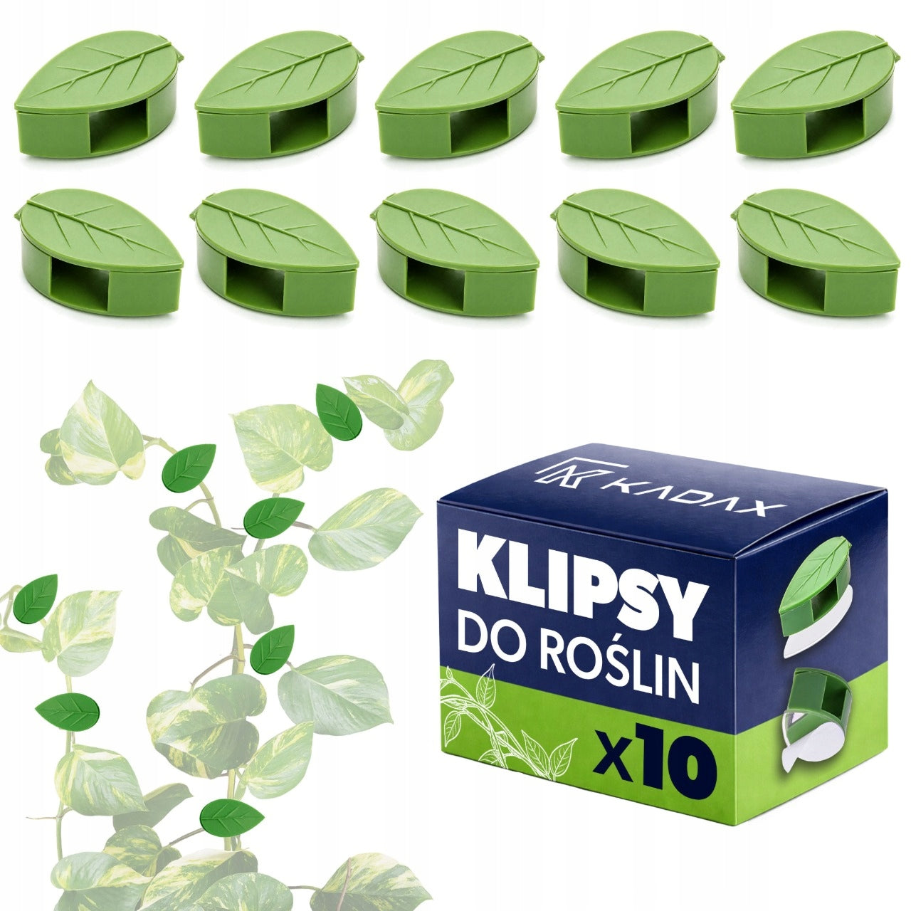 10 PCS CLIPS CLASP FOR FIXING PLANTS BEAN SHOOTS BEANS CLIPS