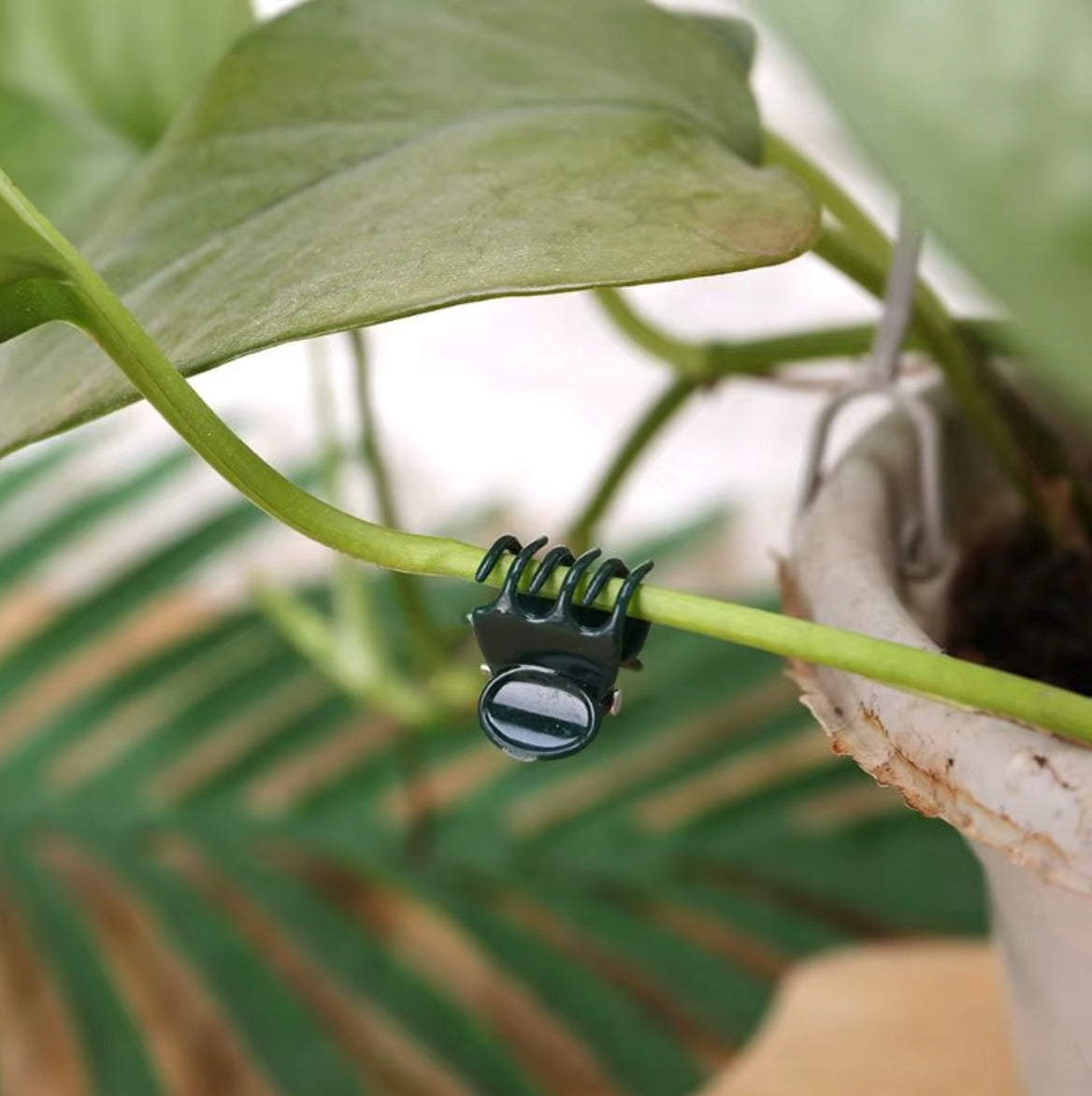 100PCS CLIPS FROG CLIPS FOR CLIMBING ORCHID ATTACHMENT PLANTS Manufacturer code SRT1