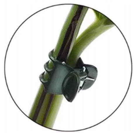 100PCS CLIPS FROG CLIPS FOR CLIMBING ORCHID ATTACHMENT PLANTS Packaging status original