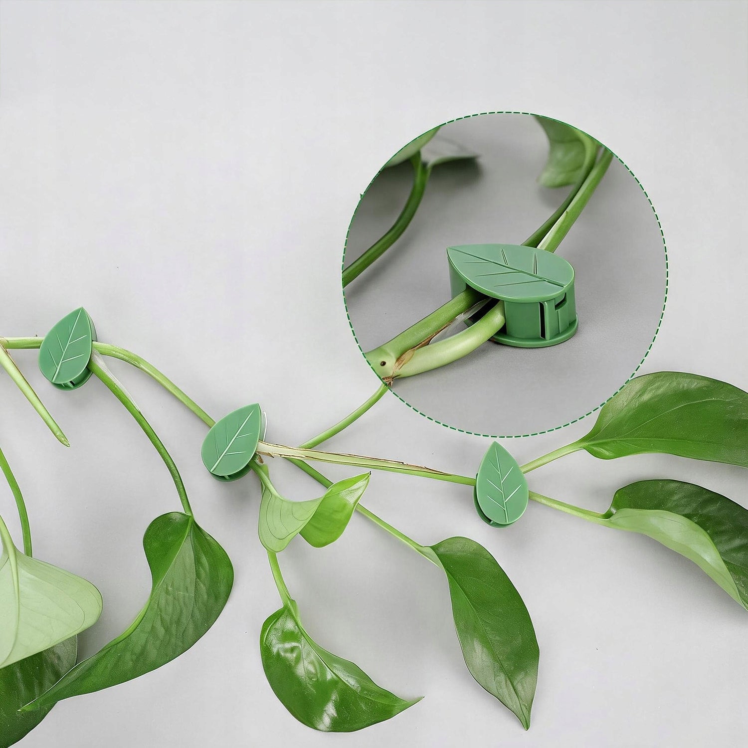 100X SELF ADHESIVE CLIPS WALL MOUNTS HOOKS PLANT CLIMBING HOME GARDEN Brand no brand