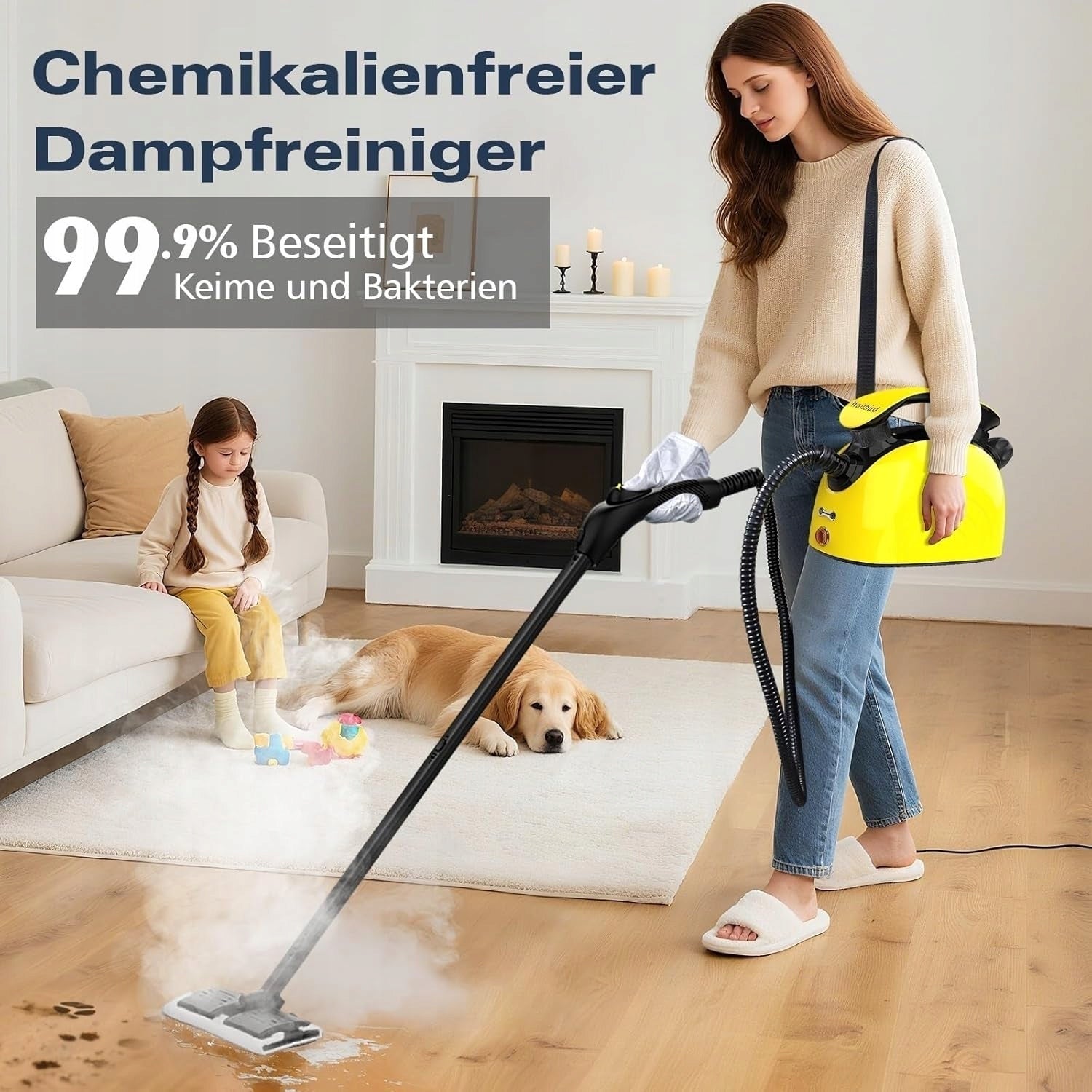 1100W 21IN1 MULTIFUNCTION STEAM CLEANER FOR CAR HOME WITH ACCESSORIES Brand no brand