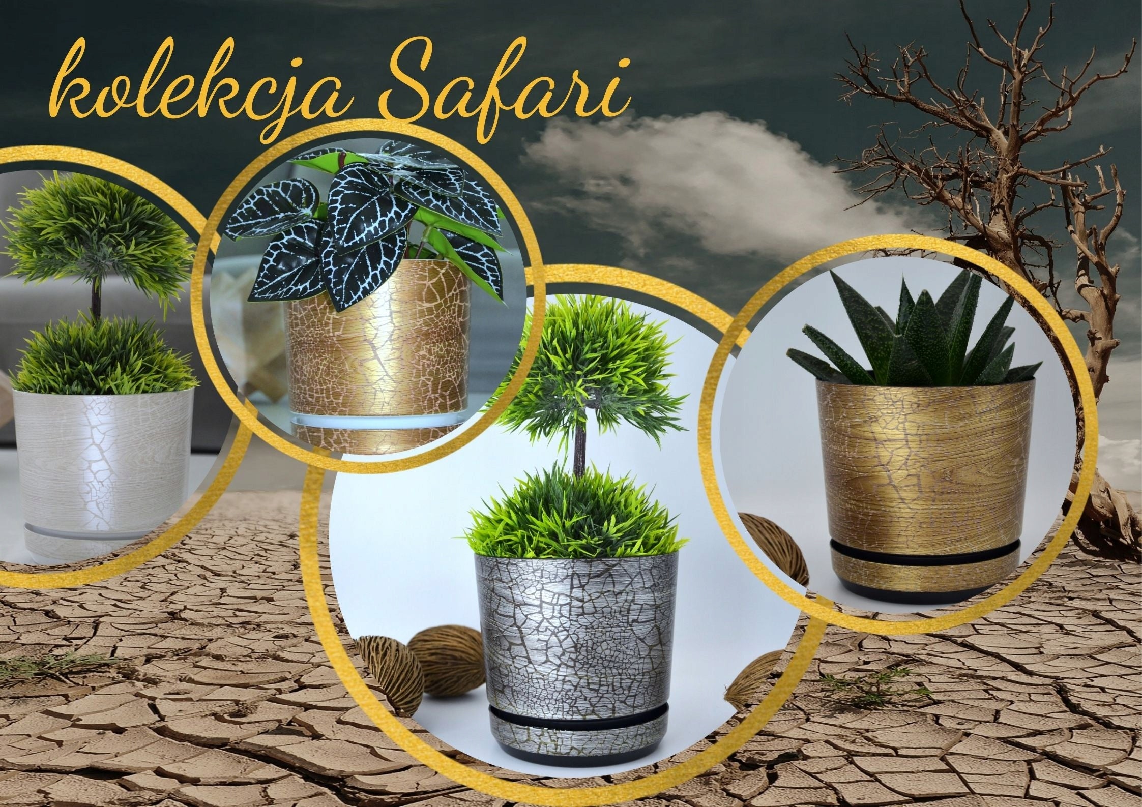 12 Ø Safari WOOD flowerpot with stand, unusual texture, gold, white board Manufacturer code DEKOR 12/028