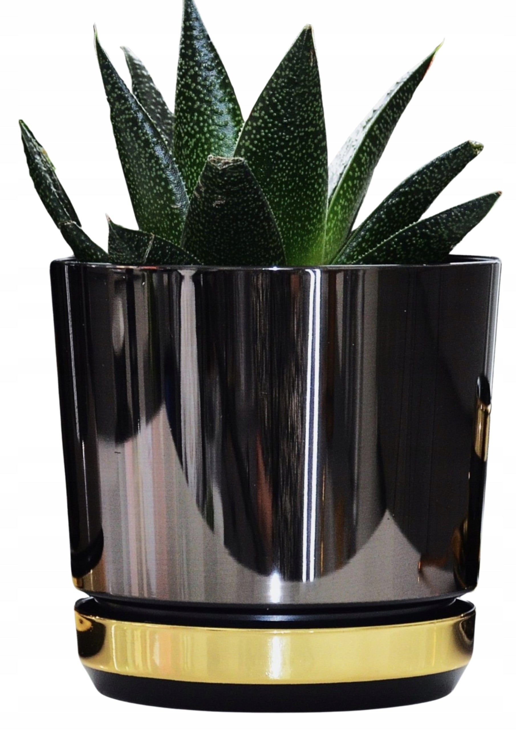 16 Flower pot DUO BLACK stand GOLDEN glamour two-tone gloss modern