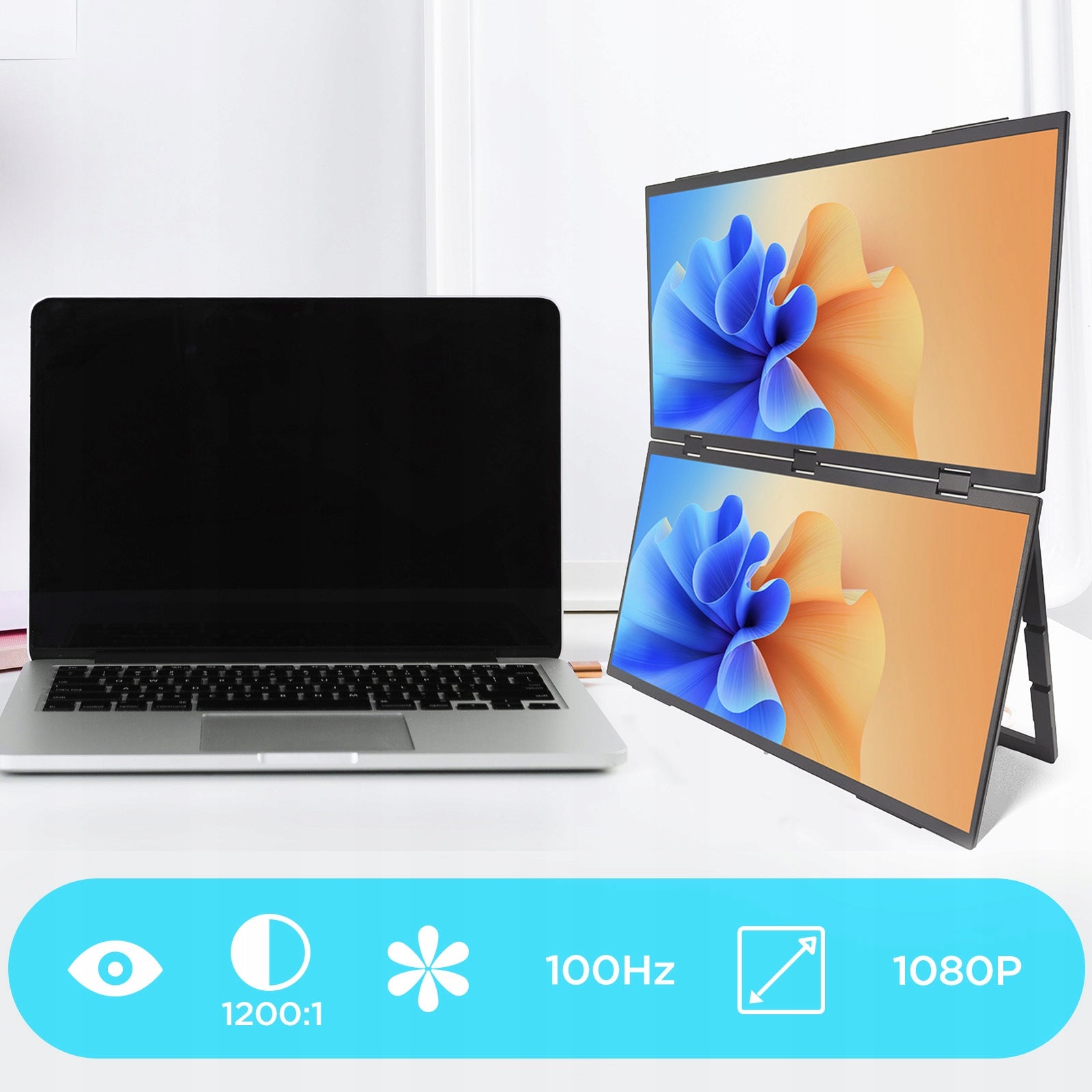 18.5" Upper and Lower Dual Portable Display 100Hz IPS, Dual Mini HDMI Product weight with unit packaging 2.3 kg