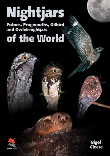 Ziegenmelker, Potoos, Frogmouths, Oilbird und Owlet-Nightjars der Welt: mit Potoos, Frogmouths, Oilbird und Owlet-Nightjars