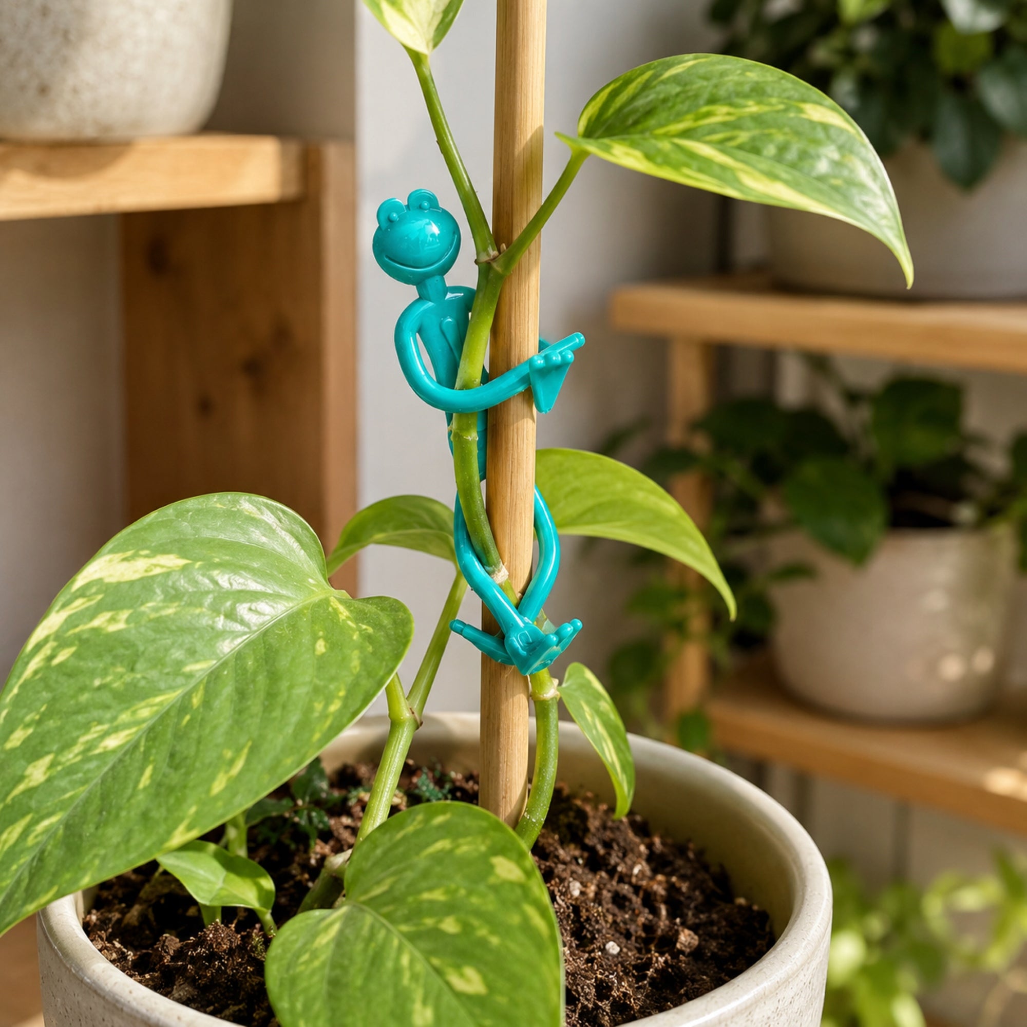 2 PCS CLIPS FROGS FOR PLANT VEGETABLE FLOWERS DECORATIVE Color green