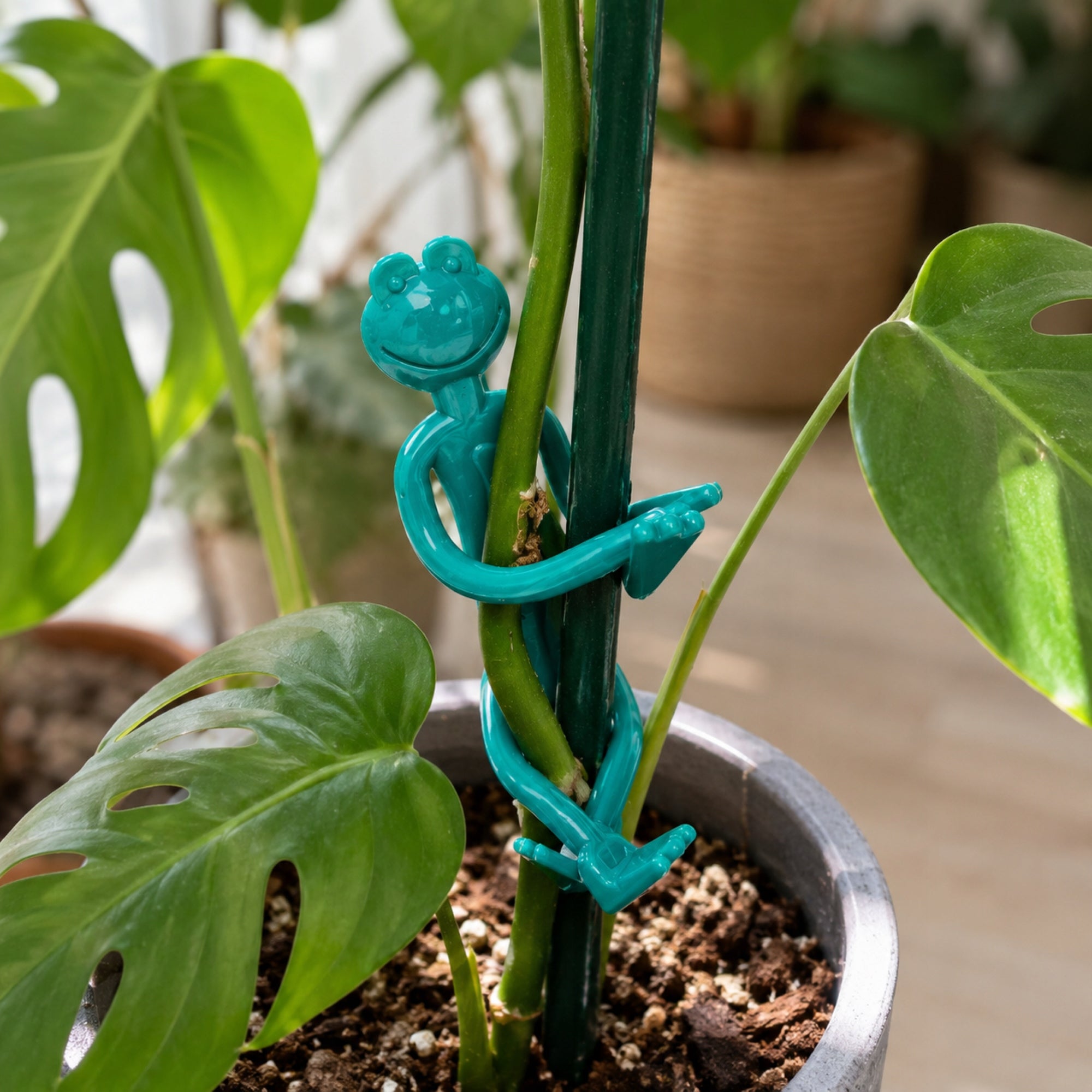 2 PCS CLIPS FROGS FOR PLANT VEGETABLE FLOWERS DECORATIVE Packaging status original