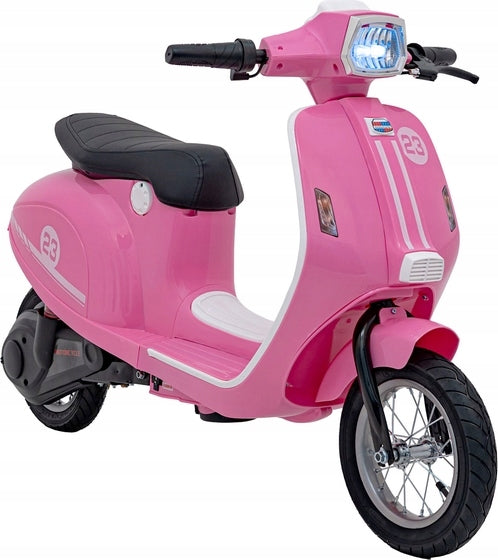 2 WHEEL MOTOR FOR BATTERY ON PUMPED WHEELS SCOOTER MOTOR 350W Manufacturer code MOT-POLL-B