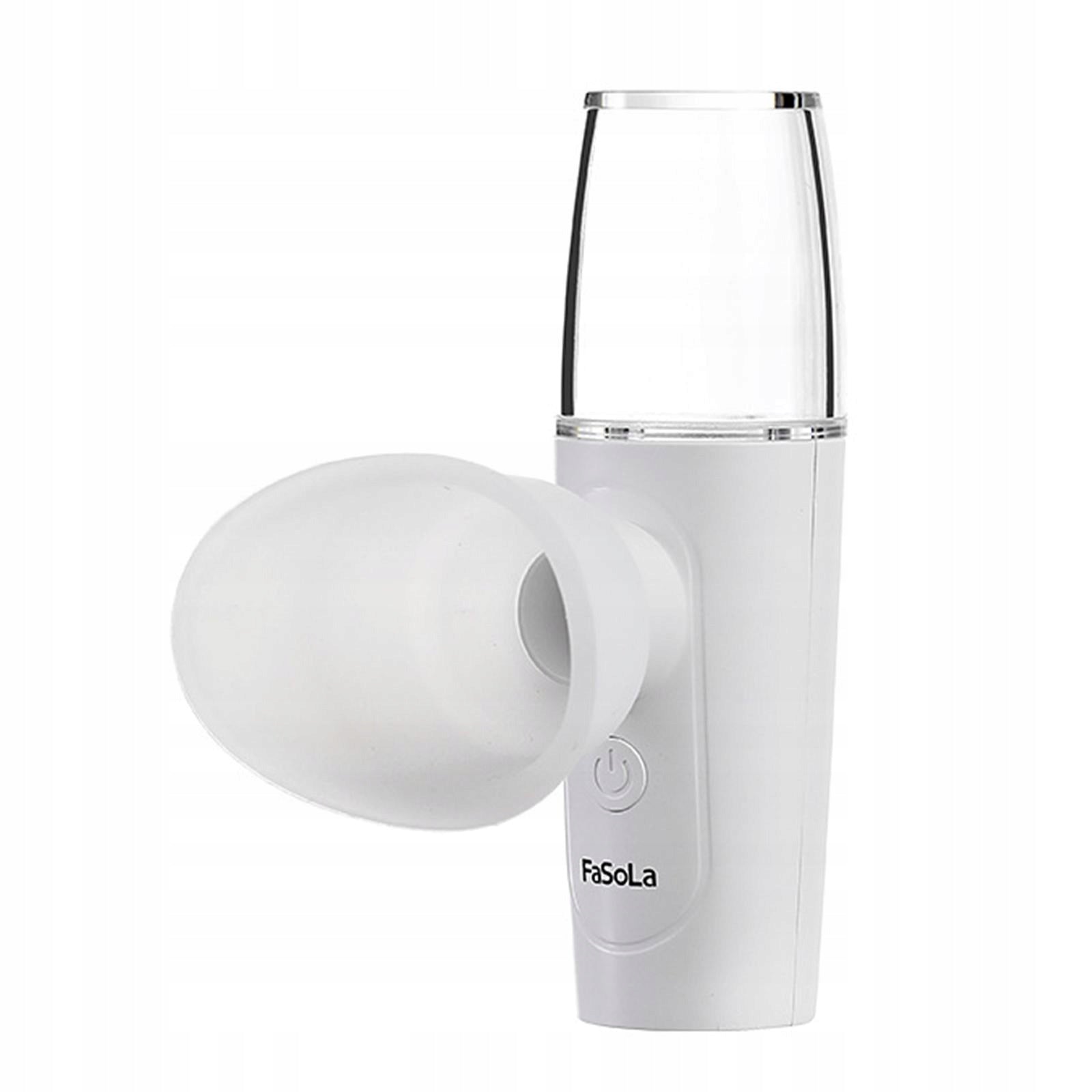 2 in 1 Nano Eye Sprayer Skin Care Water Replenishment Instrument USB