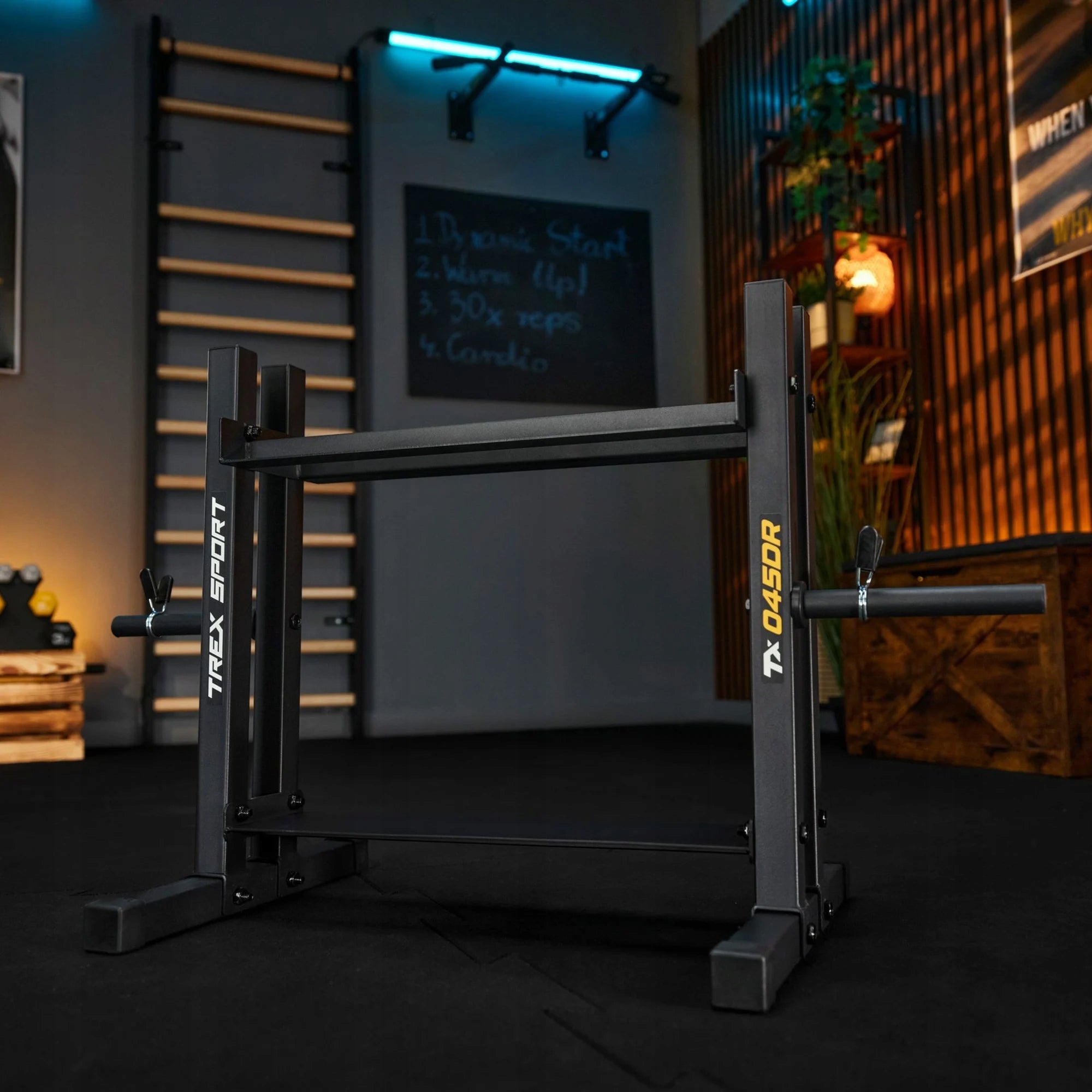 2-level dumbbell rack for heavy duty plates strong 320 kg Trex Sport Maximum rack load 320 kg