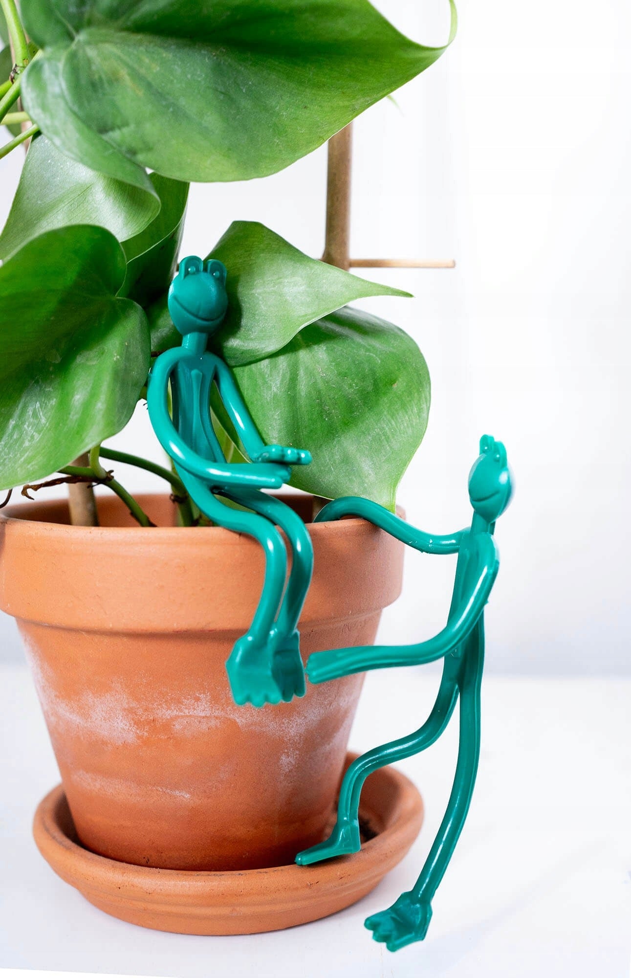 2 pcs PLANT FASTENING FROGS GARDENING CLASPS FROGS 13 cm Product height 13 cm