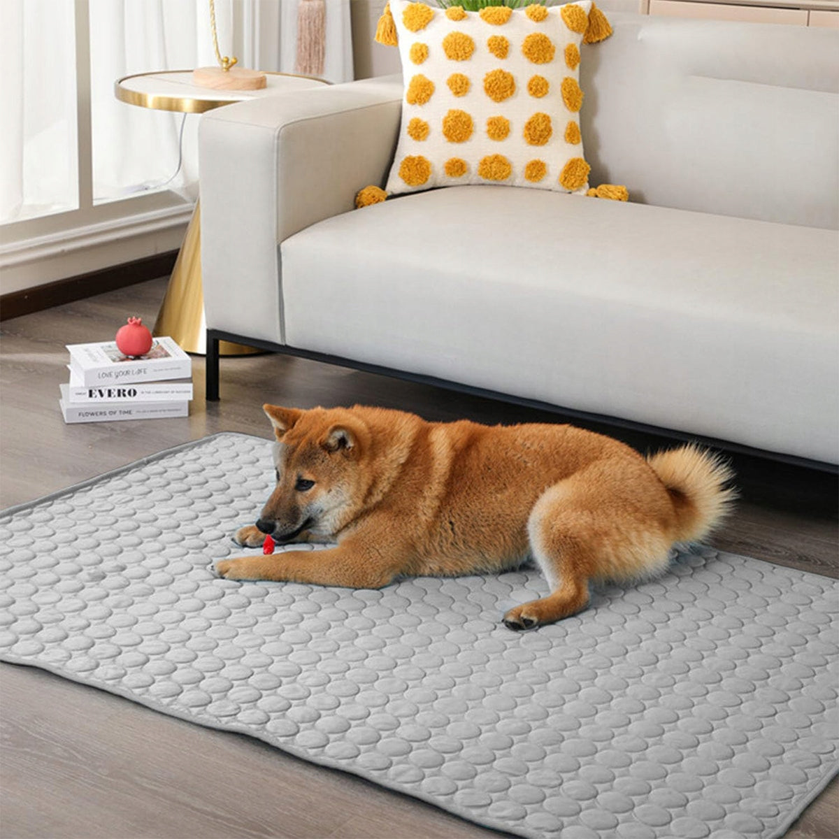 2026 NEW Cat Dog Cooling Mat Bed XL 100x75cm Kind mat