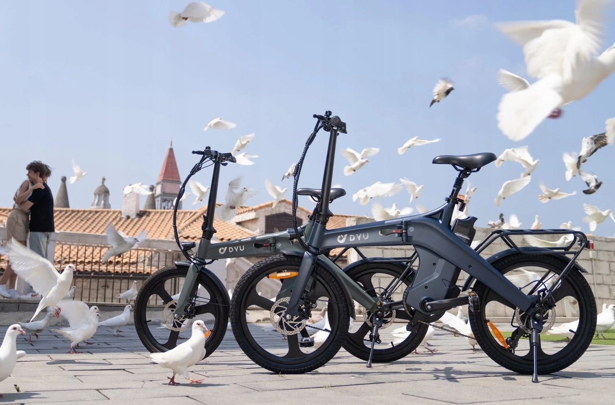 2026New DYU T1 Electric Vehicle 20-inch frame, 20-inch magnesium alloy rims Packaging status original