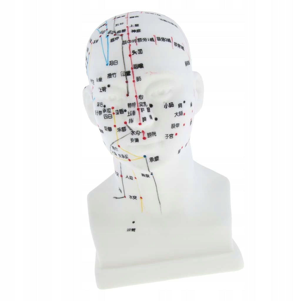 20CM Meridian Acupuncture Model Acupuncture Point Model 20cm/8
