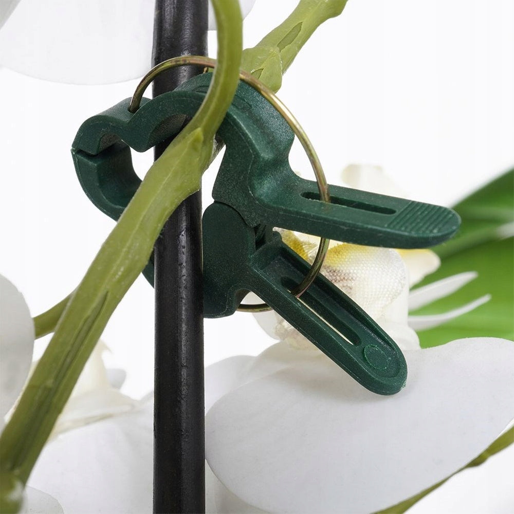 20x Clips BUCKLES Paper Clips Holder for Orchid Plants Climbing Fasteners Brand ProGarden
