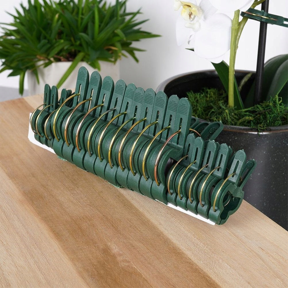 20x Clips BUCKLES Paper Clips Holder for Orchid Plants Climbing Fasteners Dominant material plastic
