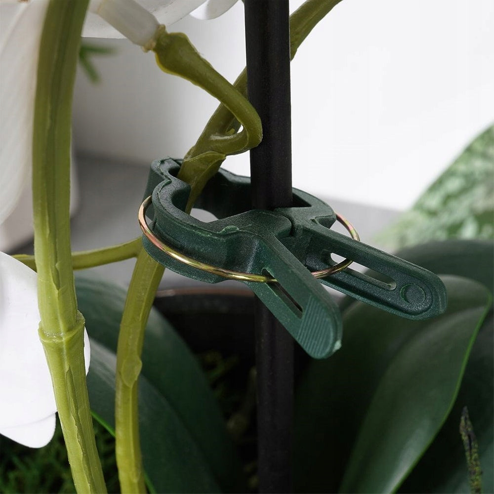 20x Clips BUCKLES Paper Clips Holder for Orchid Plants Climbing Fasteners Number of pieces 20 pcs