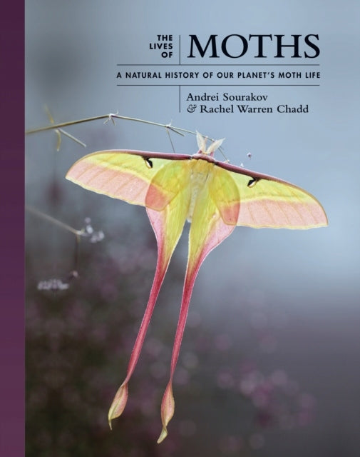 Leben der Motten: Eine Naturgeschichte des Mottenlebens unseres Planeten