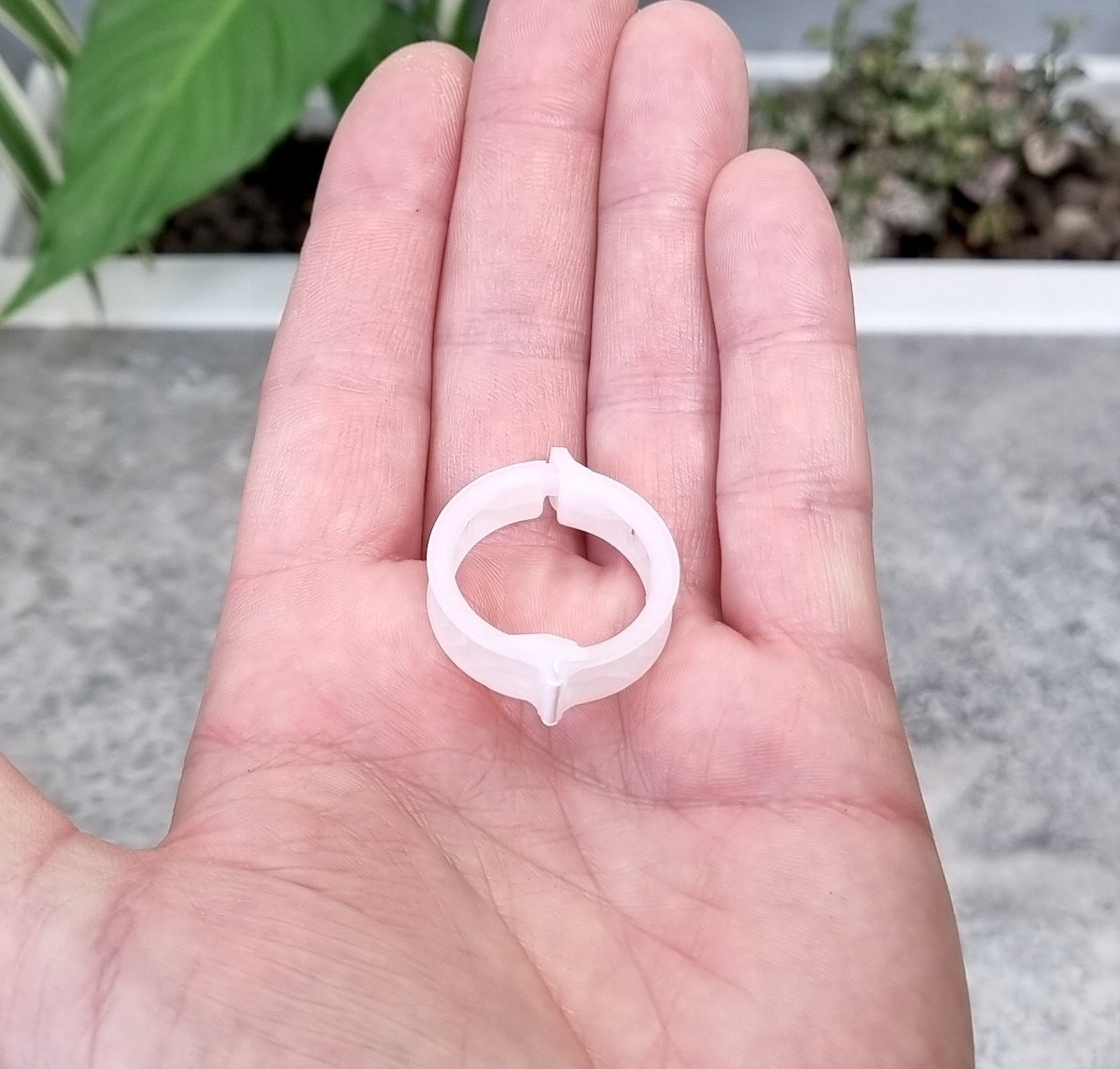 24mm clasps for tomatoes, peppers, beans x 100pcs - clips Product width 2.4 cm