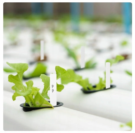 25x PLANT DESCRIPTION PLATE STANDING GREENHOUSE POTS + MARKER EAN (GTIN) 5905247736970