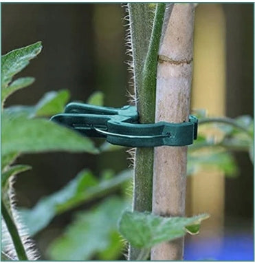 Pomidorų stiebų segtukai, 2,5 cm, 50 vnt.