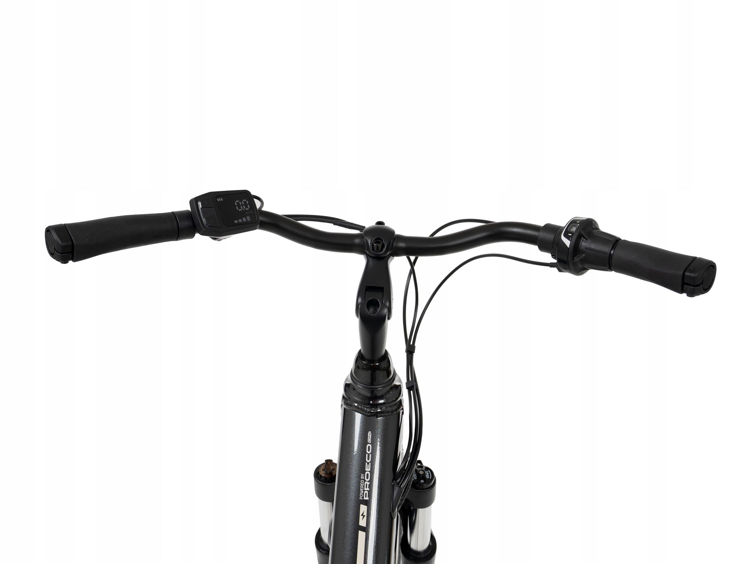 28172567-A - 17 M E-Bike PROECO EASY 374WH graphite Maximum rated power electric bike (under 250W)