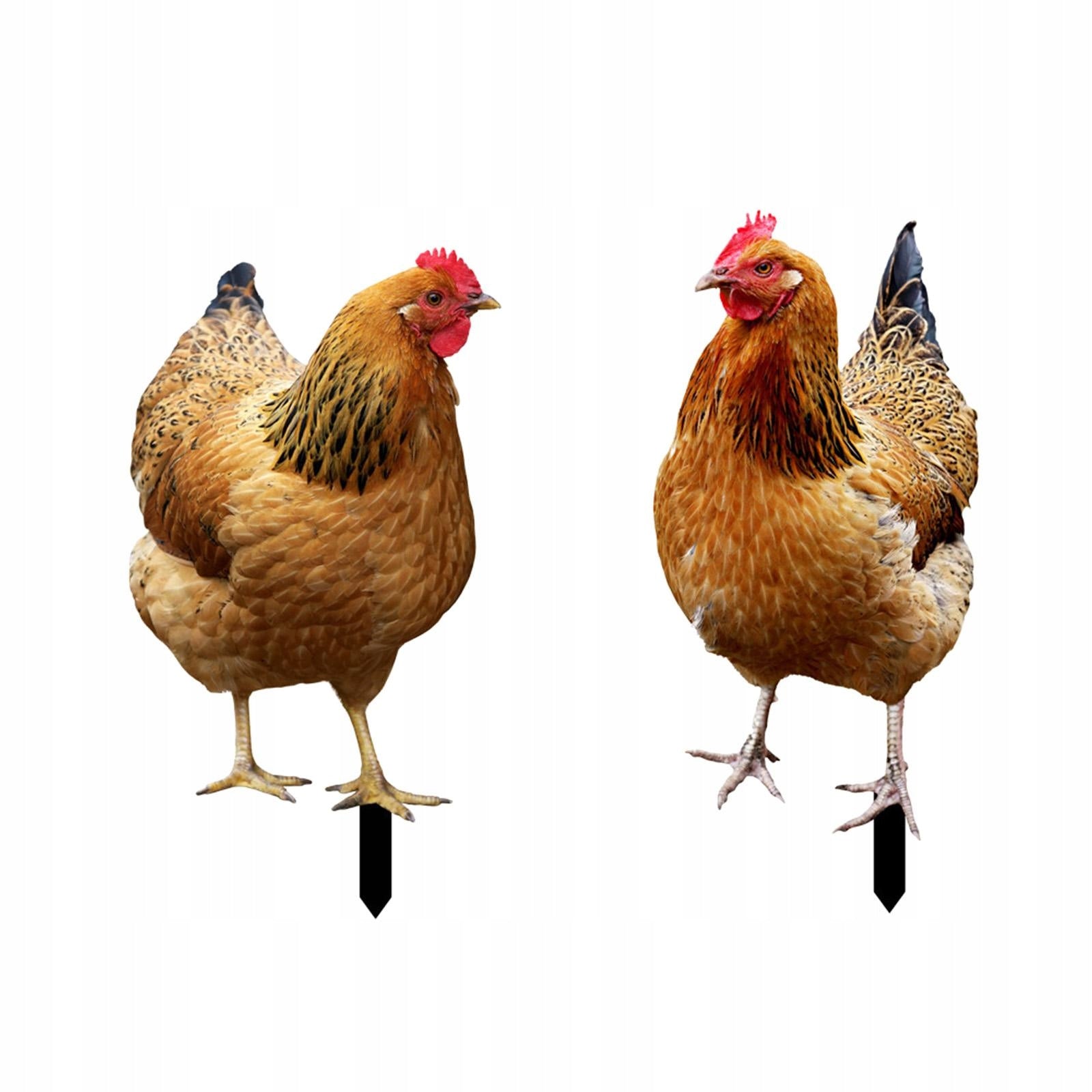 2Pcs Hen Statue Garden Stakes Chicken Figurines Ground Insert for Courtyard Packaging status no packaging