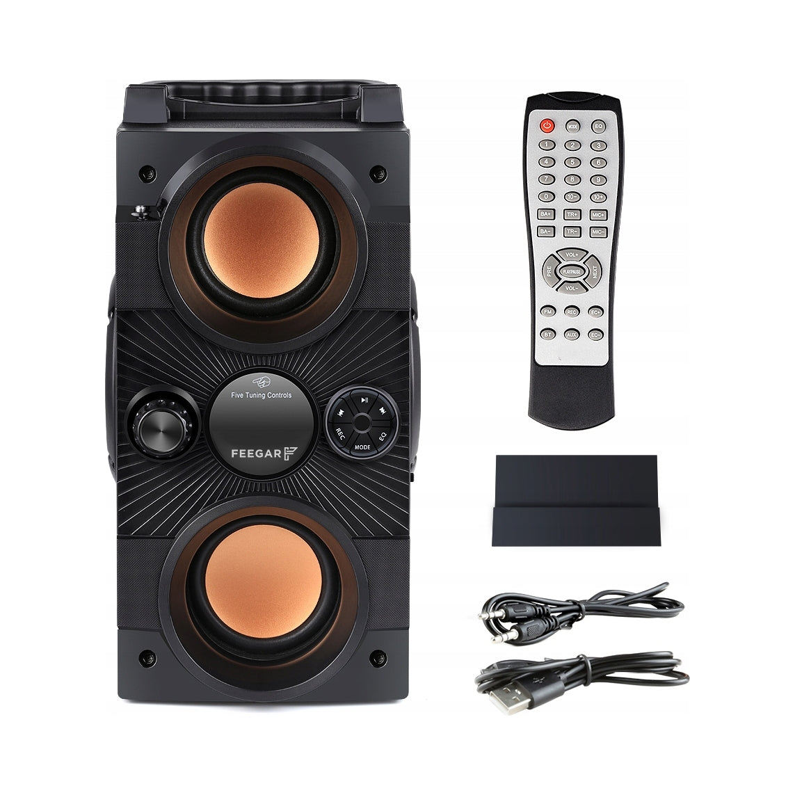 2X Portable speaker Feegar DANCE black 30 W bluetooth
