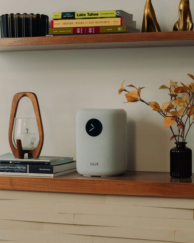 2X WIIM SOUND WIRELESS SPEAKER SMART WI-FI 6 BLUETOOTH 5.3 AI WHITE Brand Wiim