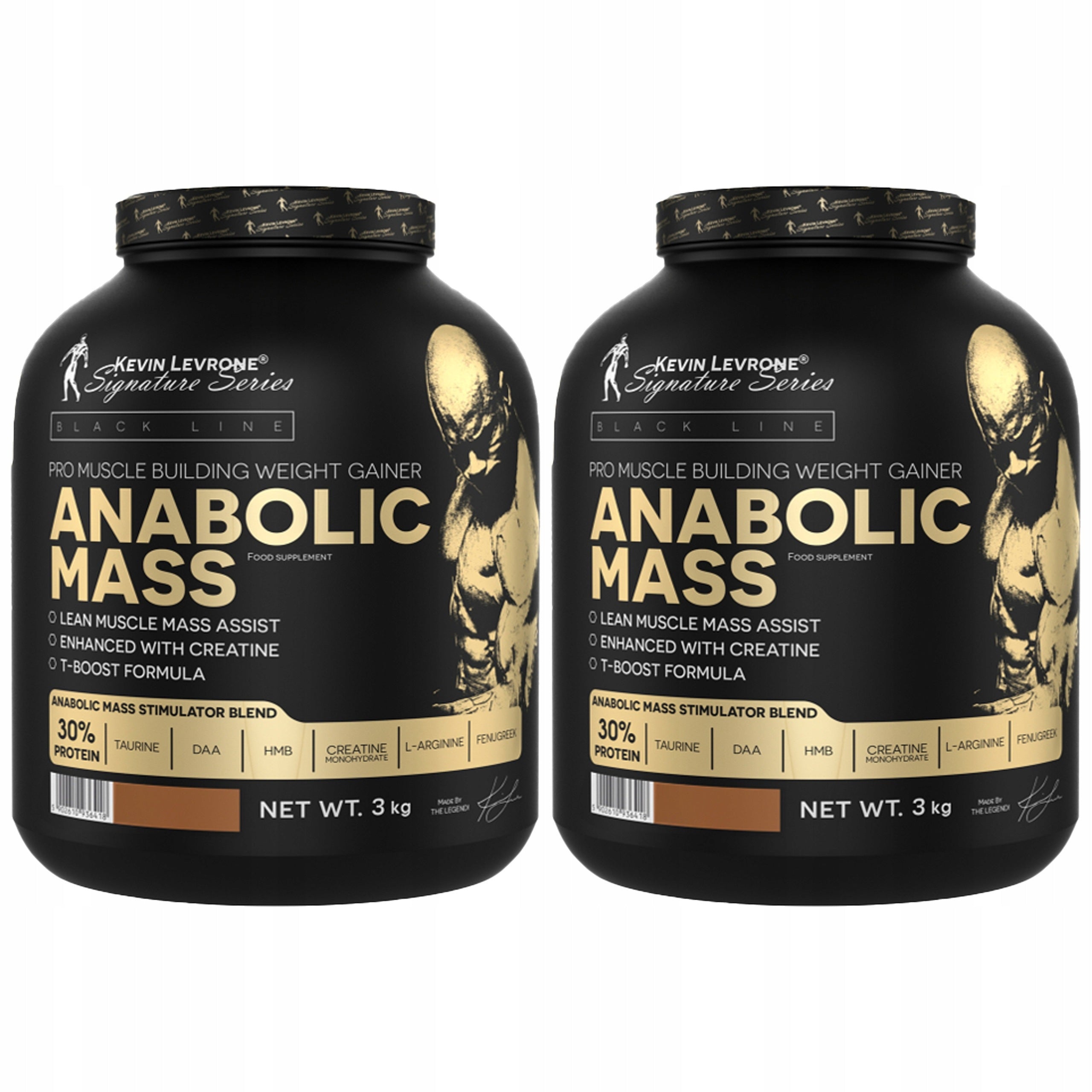 2x Kevin Levrone Anabolic Mass 3000g GAINER