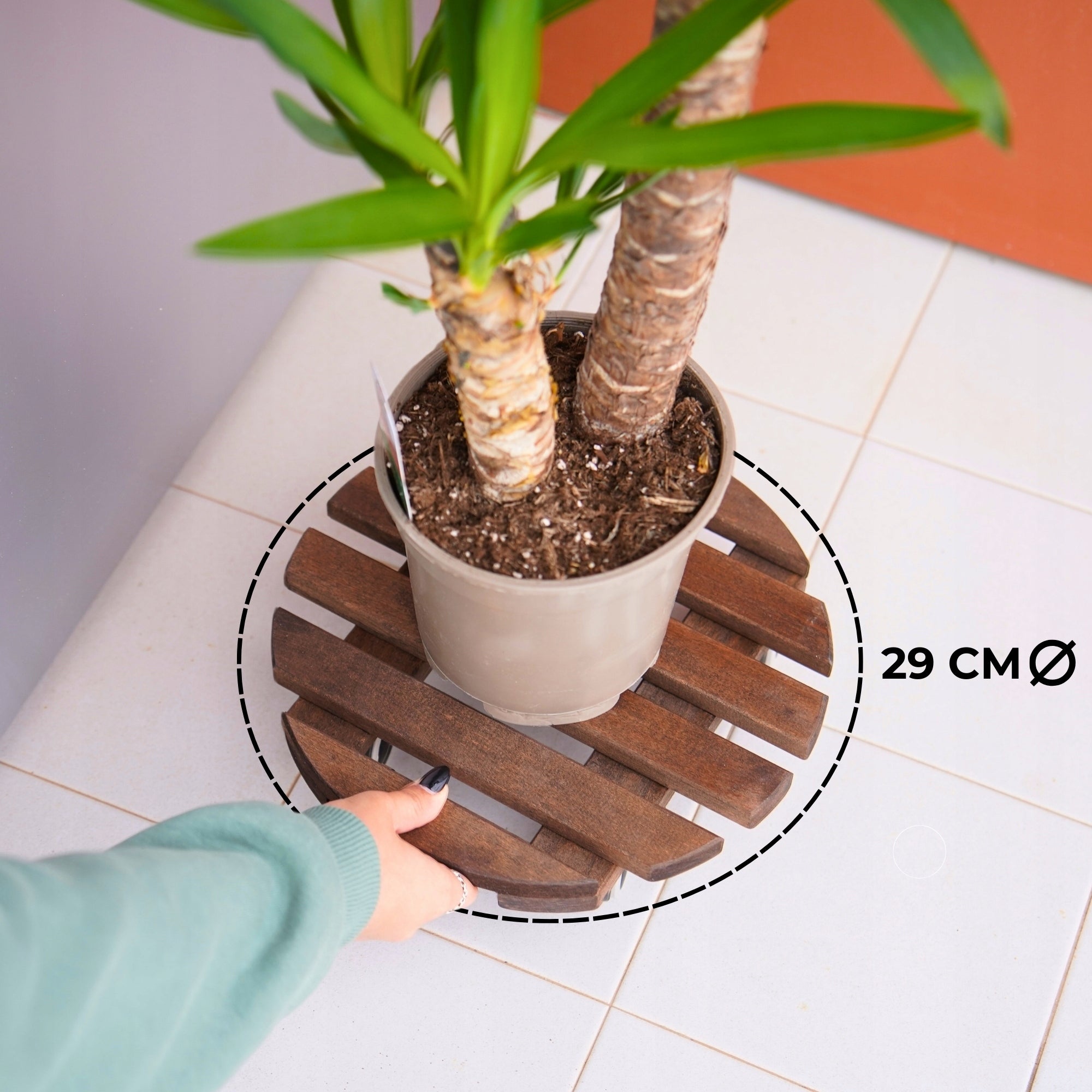 2x Pot Stand on Wheels – Elegant Wood for Interiors and Garden Manufacturer code HG003-FBA
