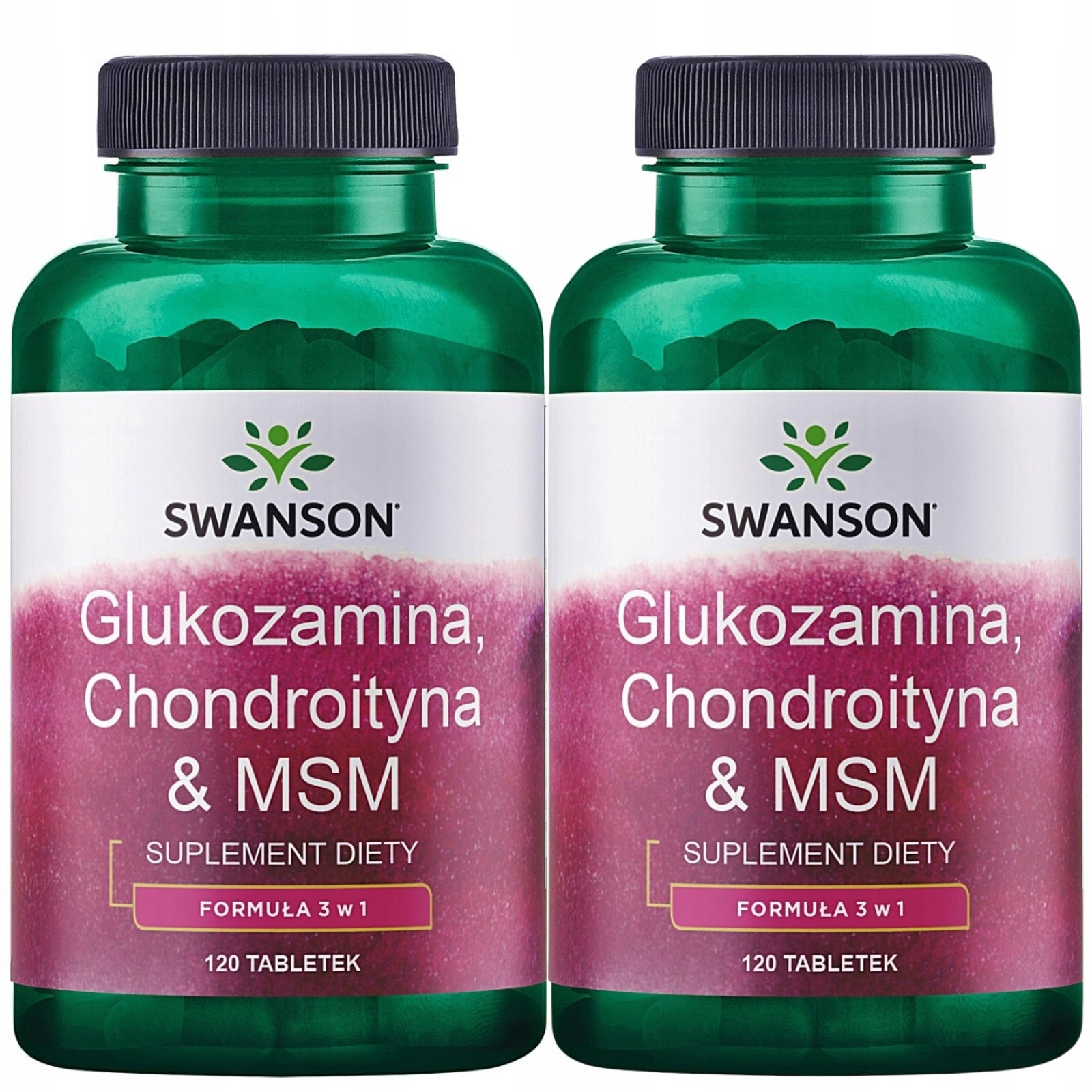 2x SWANSON GLUCOSAMINE CHONDROITIN BONE JOINTS 120 tab MSM STRENGTH