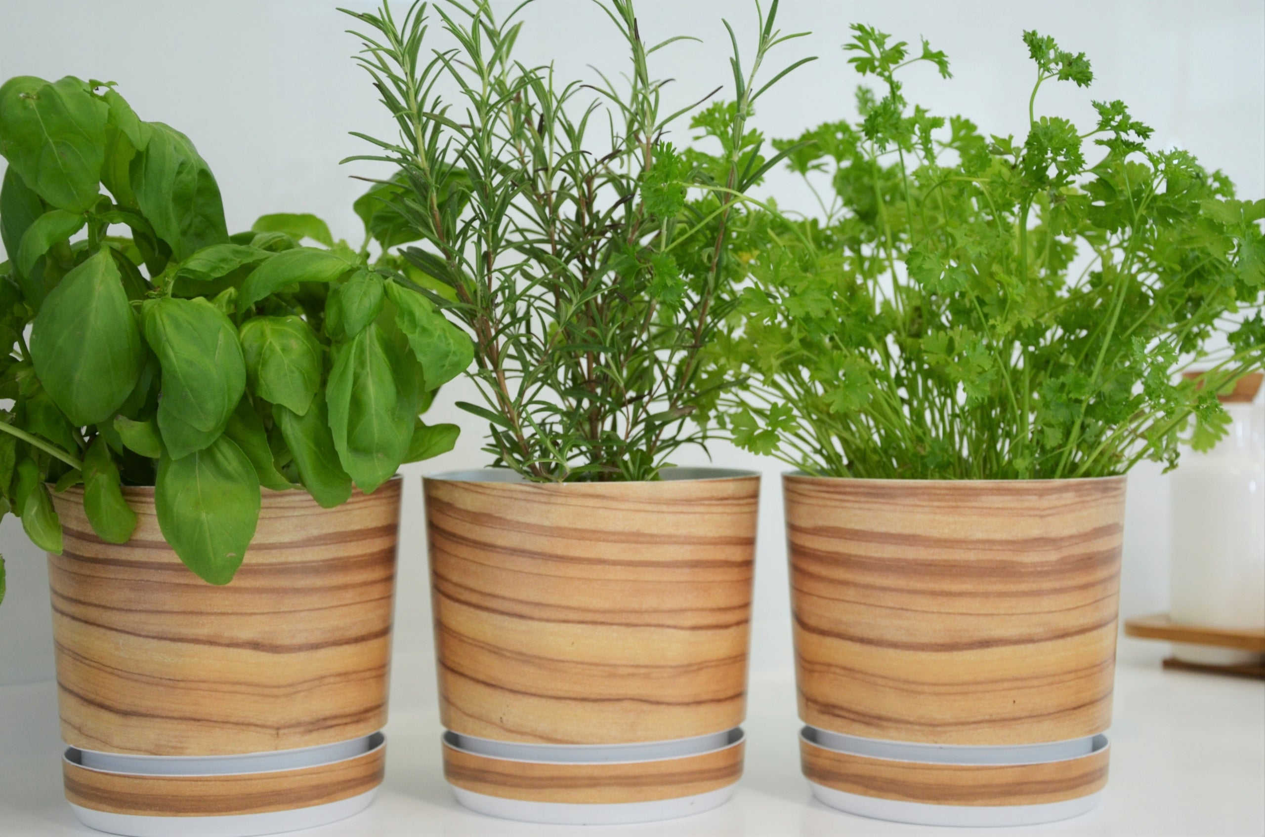 3 pcs for HERBS SET of pots with stand set imitation wood BAMBOO