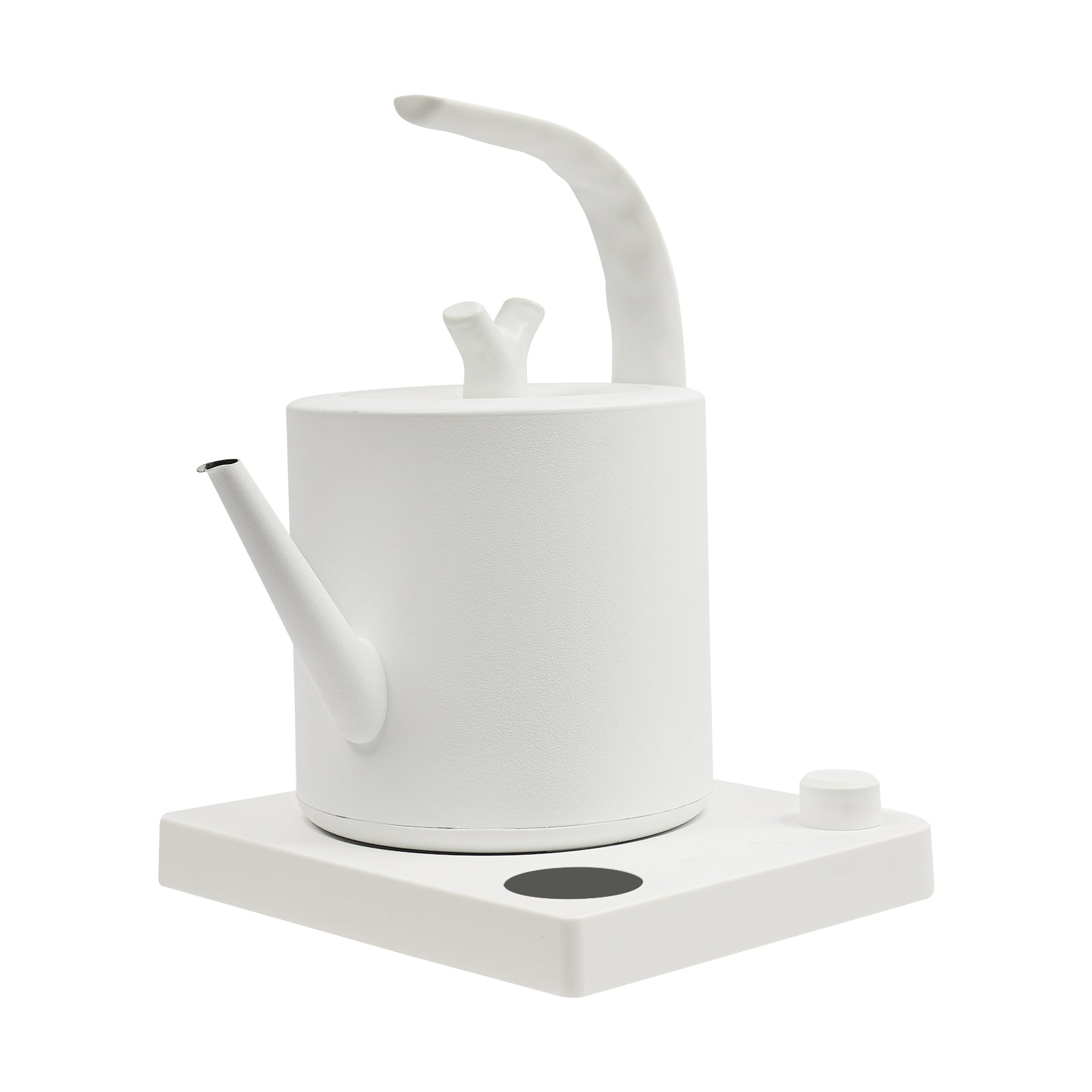 304 STAINLESS STEEL ELECTRIC KETTLE, TEMPERATURE CONTROL Power 1000 W