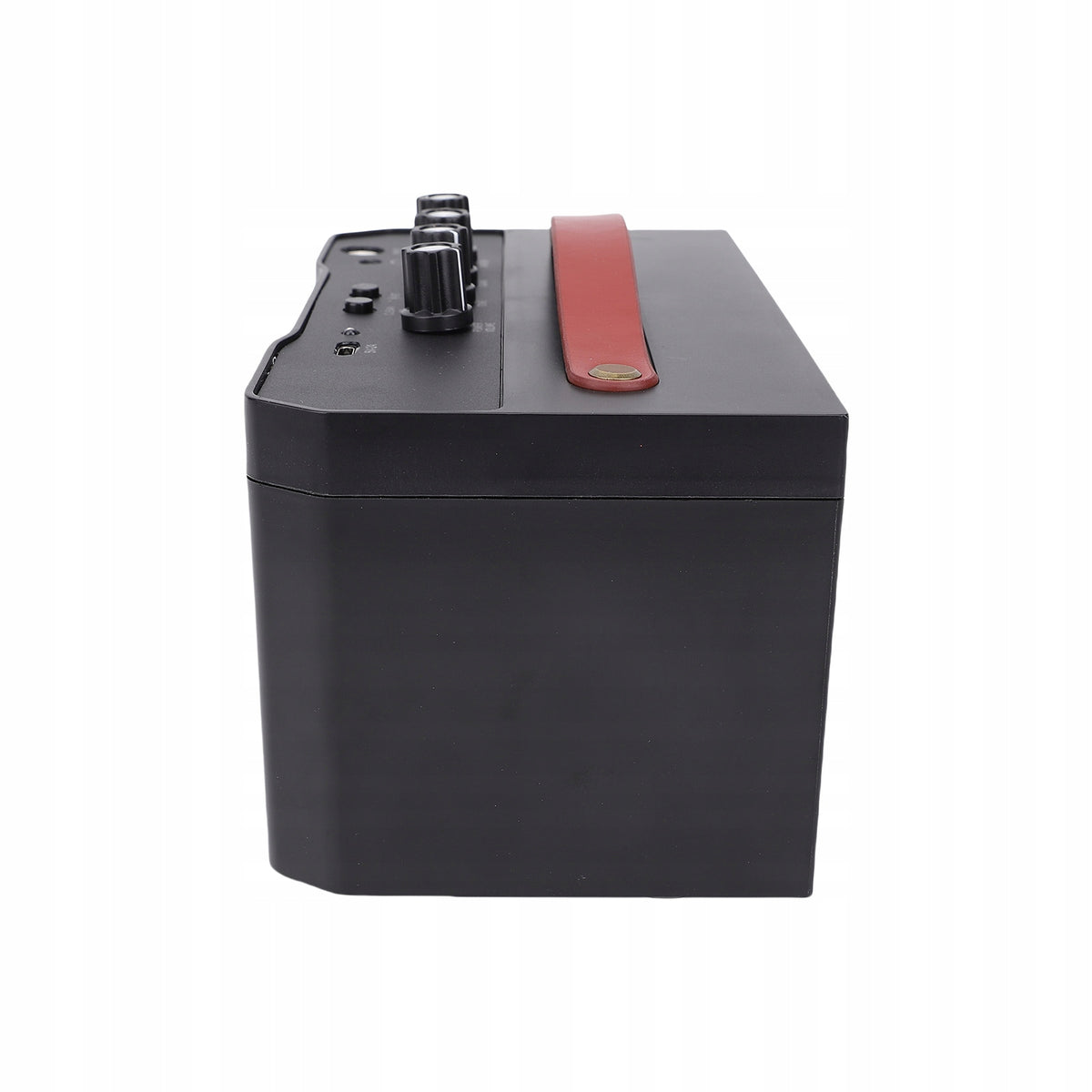 30W Acoustic Guitar Speaker with 9N Distortion Function Model other
