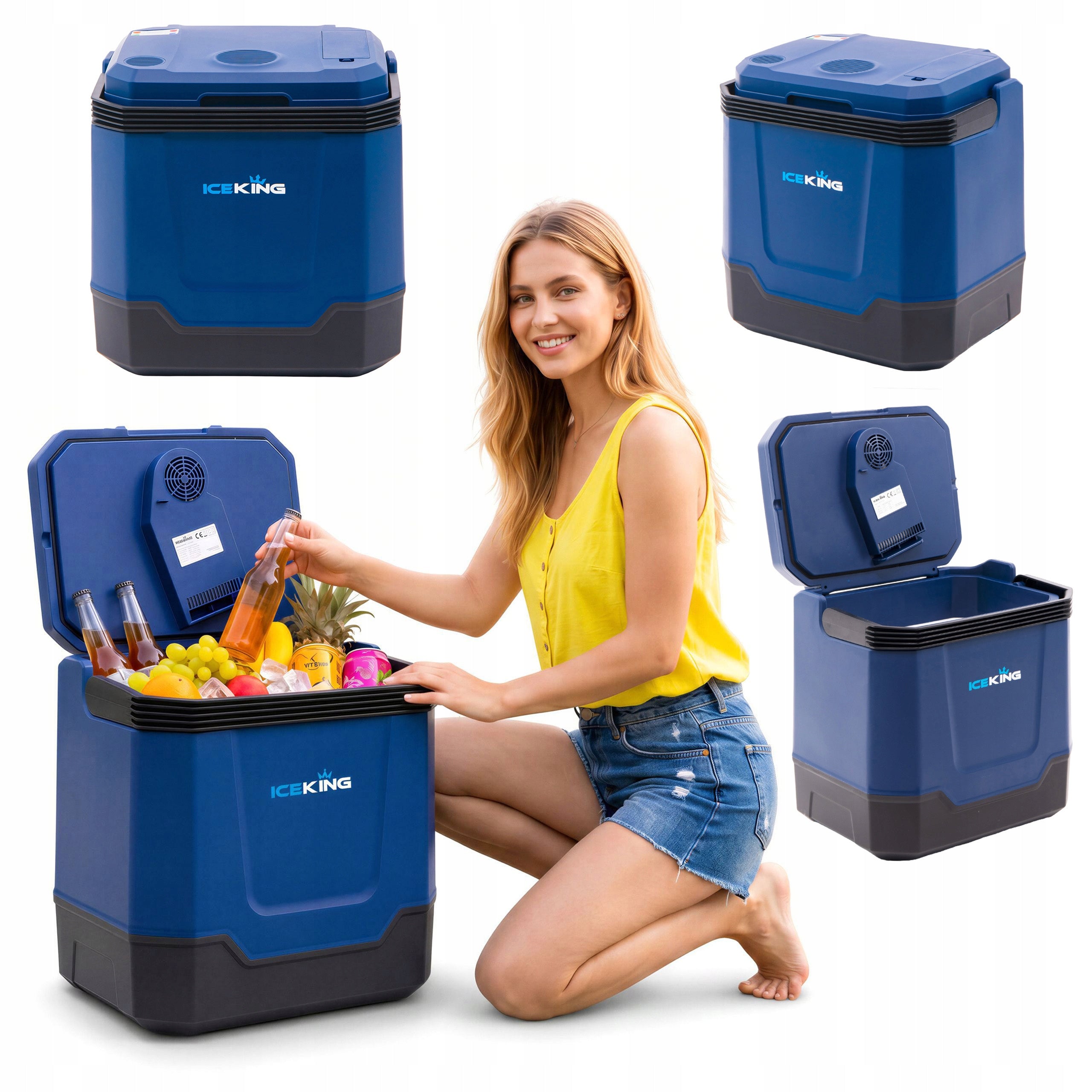 35L TOURIST REFRIGERATOR WITH HEATING FUNCTION 12V USB BLUETOOTH SPEAKER +FREEBIE