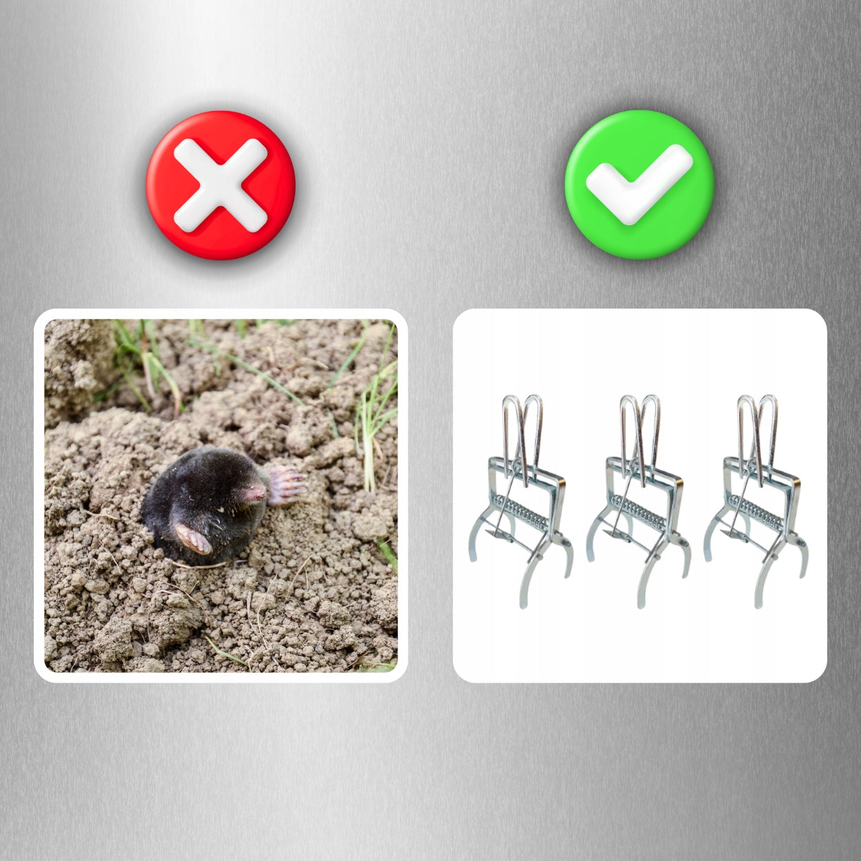 3x MOLE PAW TRAP VOLES PROFESSIONAL METAL GUILLOTINE MOLECATCHER Product weight with unit packaging 2 kg