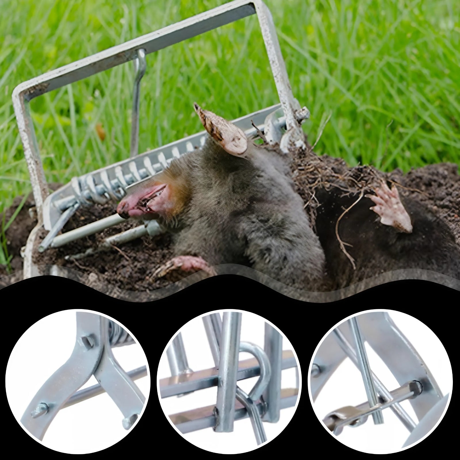 3x MOLE PAW TRAP VOLES PROFESSIONAL METAL GUILLOTINE MOLECATCHER Use Against moles