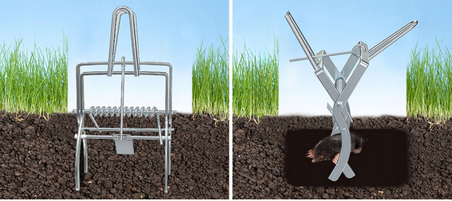 3x MOLE TRAP VOLES PROFESSIONAL PAW METAL GUILLOTINE MOLECATCHER EAN (GTIN) 5902186610842