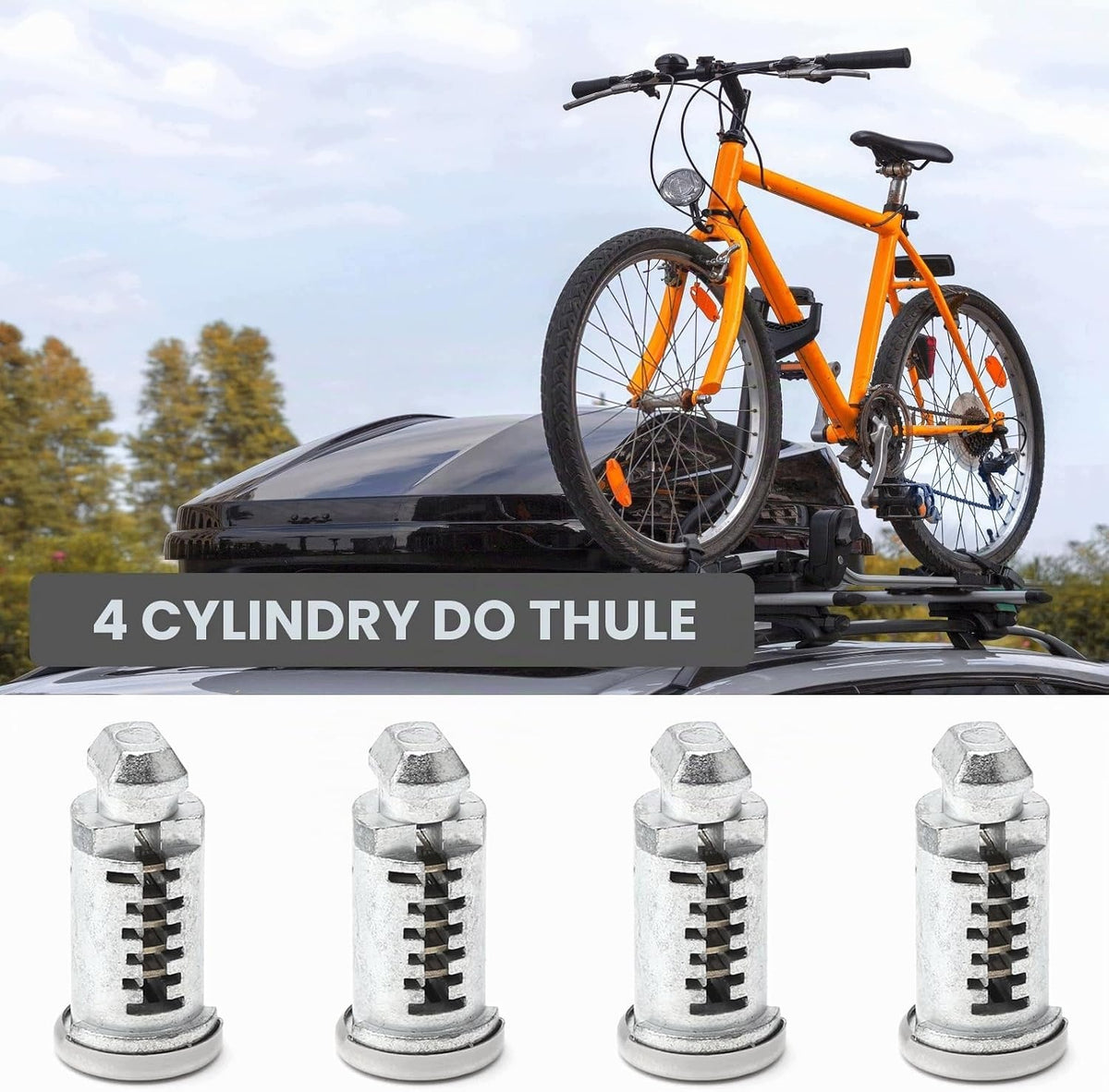 4 Thule lock cores with 2 keys, key system for roof rack Brand no brand