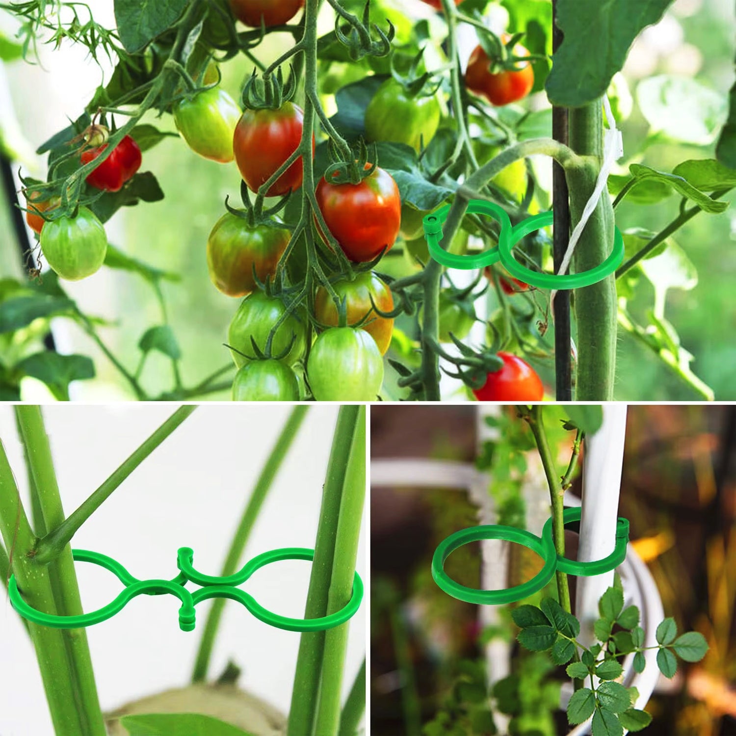 40x CLASPS FOR ATTACHING VEGETABLE FLOWER PLANTS IN THE GARDEN Brand JohnGreen