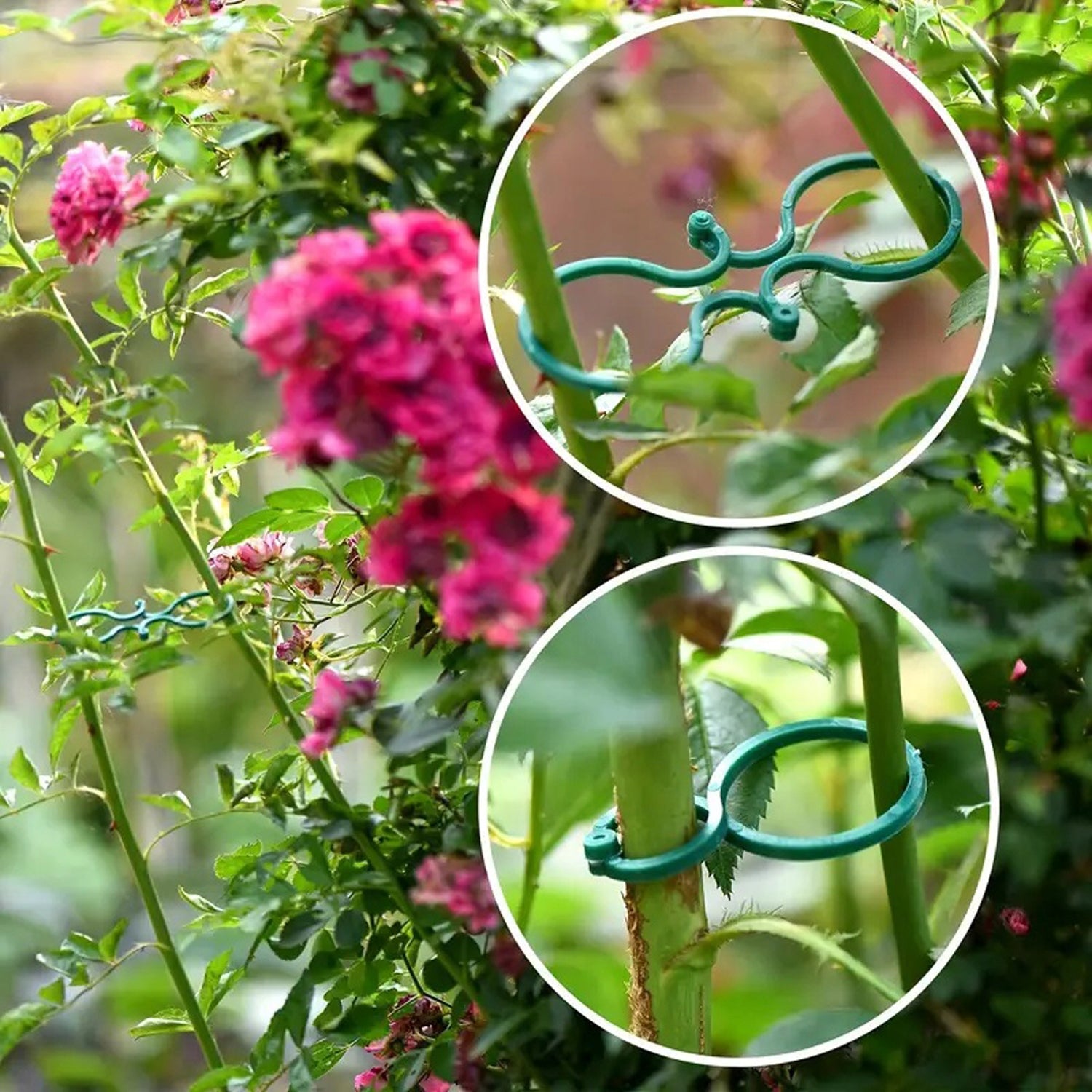 40x CLASPS FOR ATTACHING VEGETABLE FLOWER PLANTS IN THE GARDEN Color green