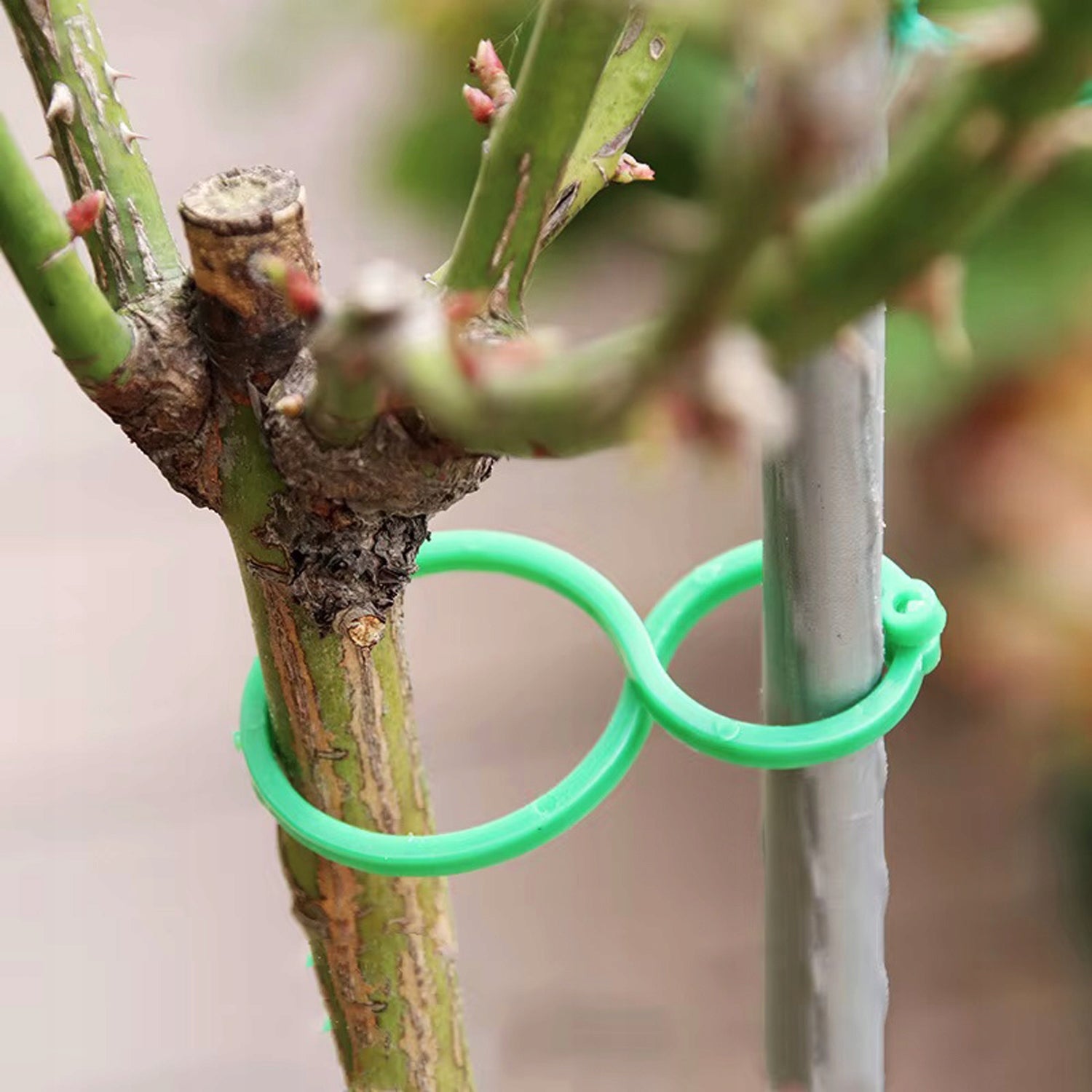 40x CLASPS FOR ATTACHING VEGETABLE FLOWER PLANTS IN THE GARDEN Product height 5.9 cm