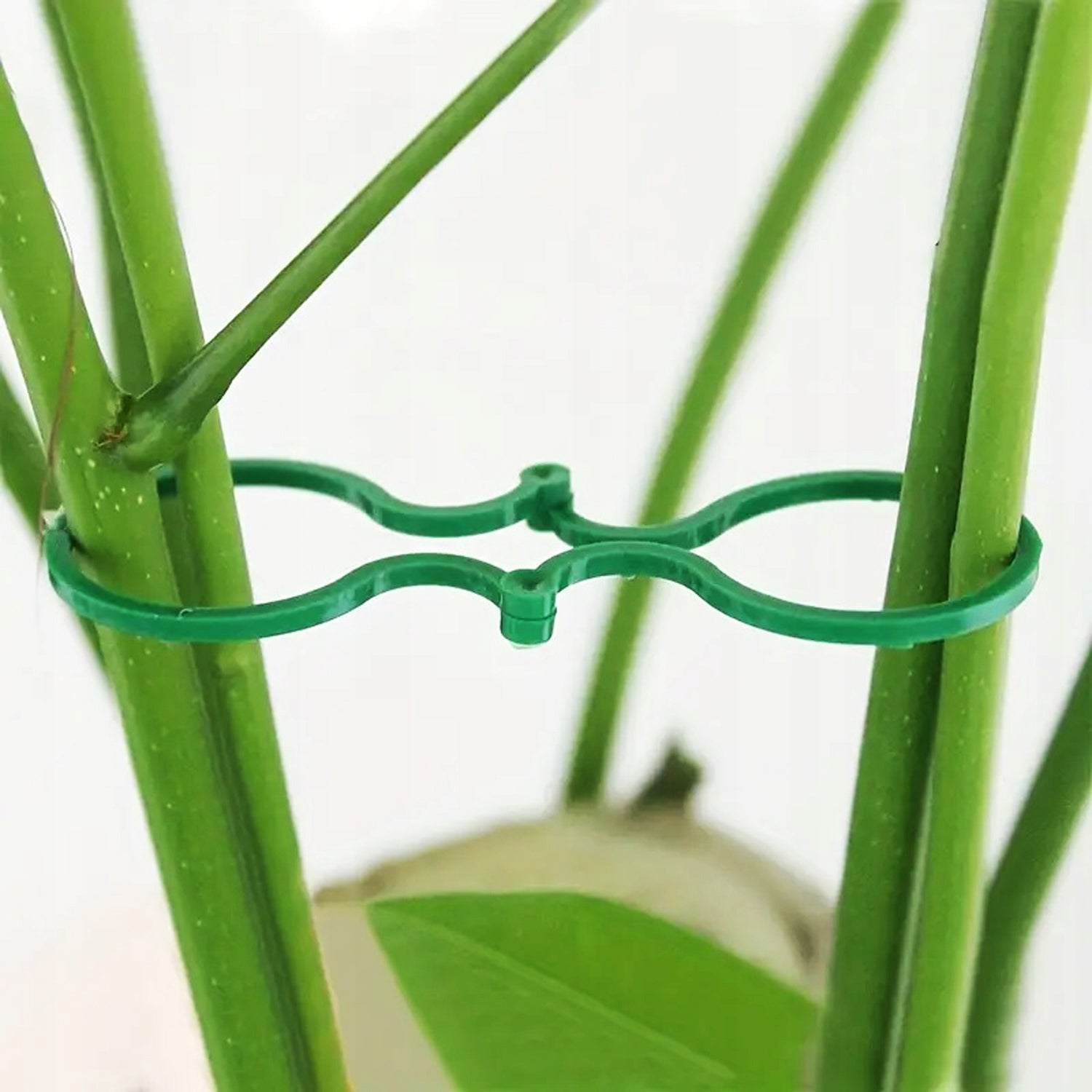 40x CLASPS FOR ATTACHING VEGETABLE FLOWER PLANTS IN THE GARDEN Product width 2.8 cm