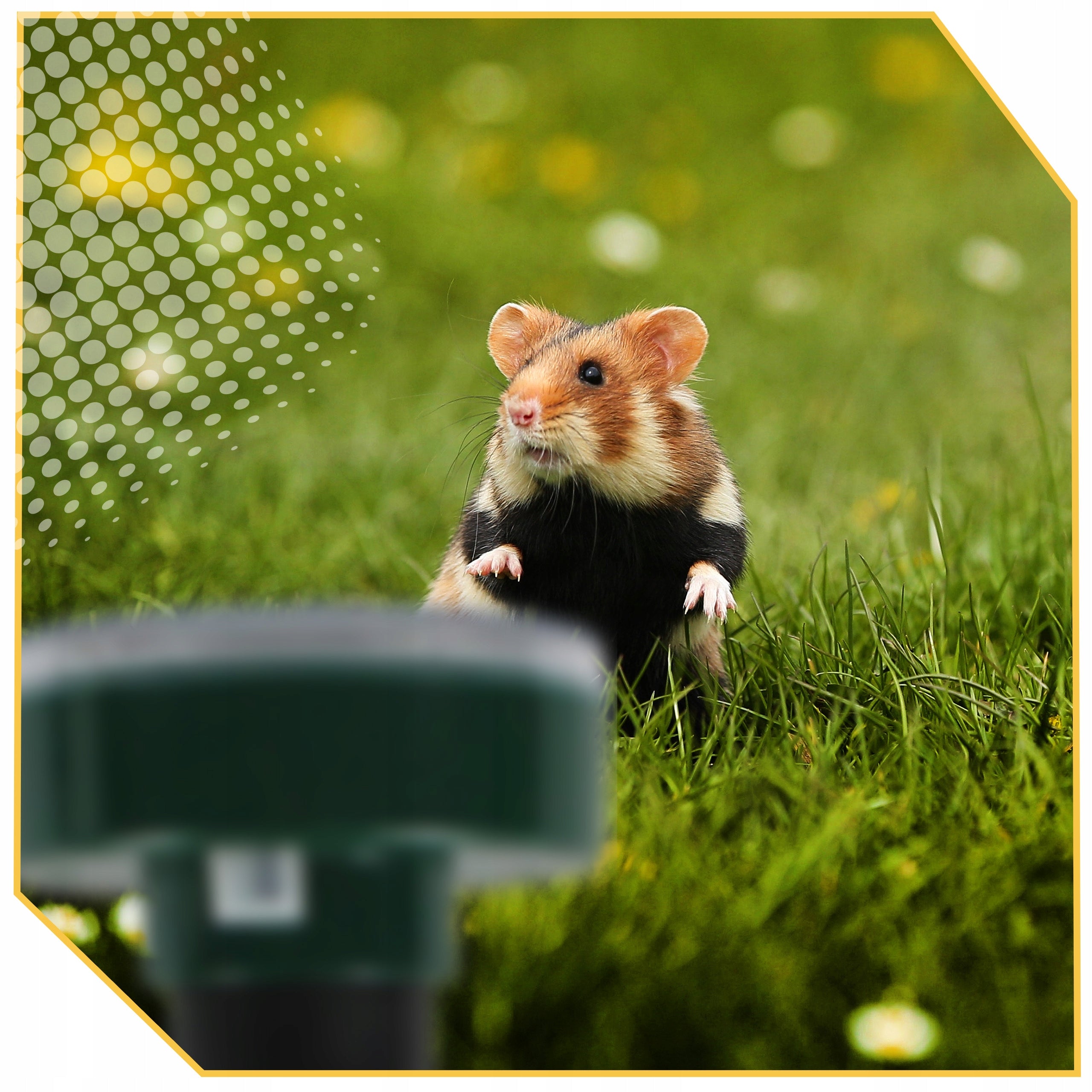 4x POWERFUL SOLAR MOLE REPELLENT FOR MOLES RODENT MICE XXL 4PCS Brand Lewer