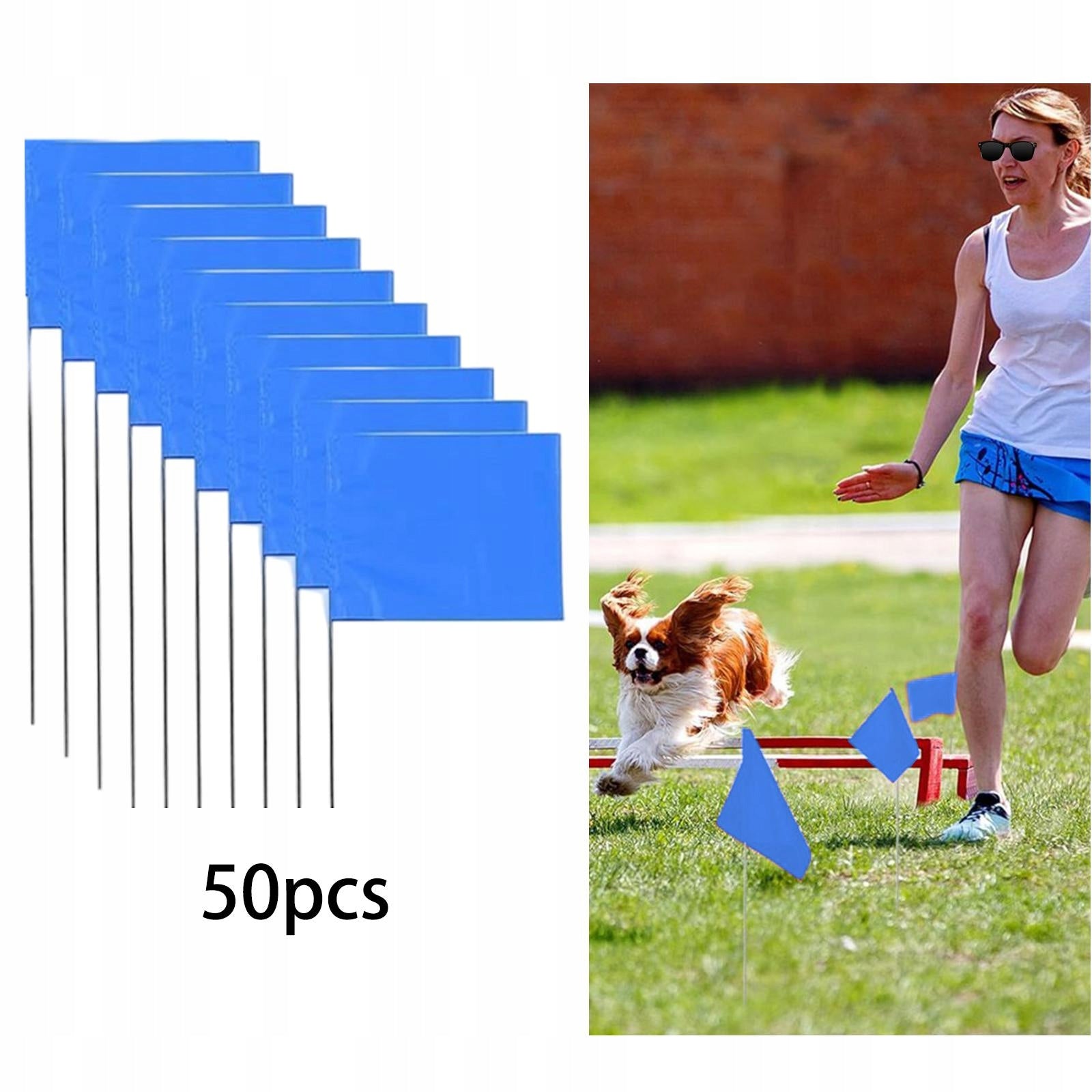 50 Pieces Blue Marking Flags Lawn Flags Markers for Lawn Sprinkler Type nesting box (feeder)