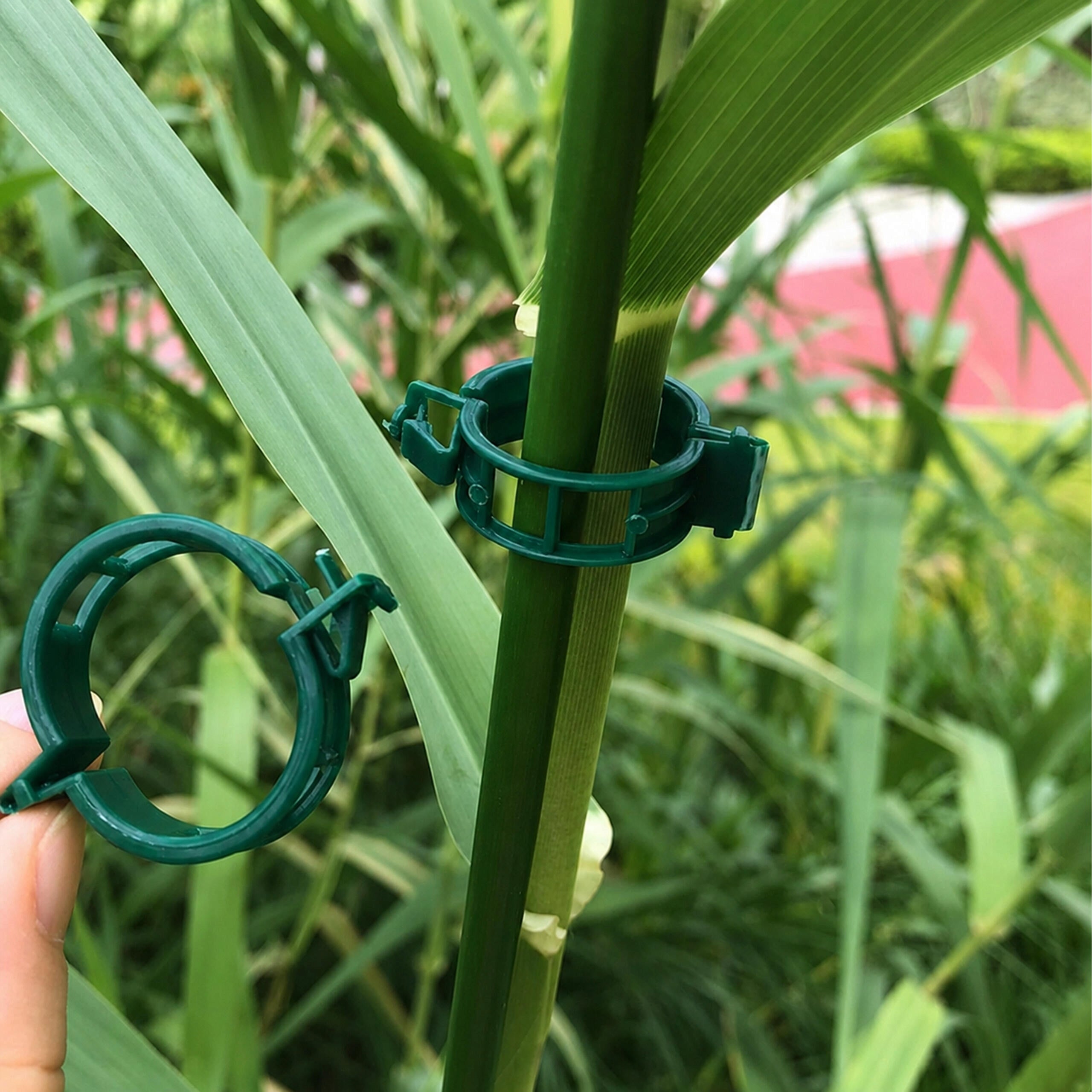 50X CLASPS CLIPS HANDLES FOR ATTACHING TOMATO PLANTS CLIPS TO STEMS Customs tariff code 39269097