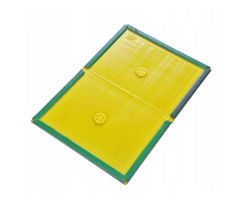 50x LEP on mouse RATS strong trap STRONG GLUE Aroma MOUSETRAP PAW Use Against rodents mice rats