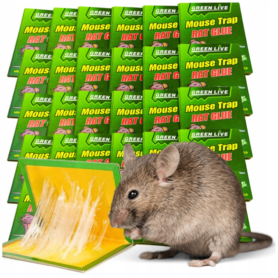 50x LEP on mouse RATS strong trap STRONG GLUE Aroma MOUSETRAP PAW